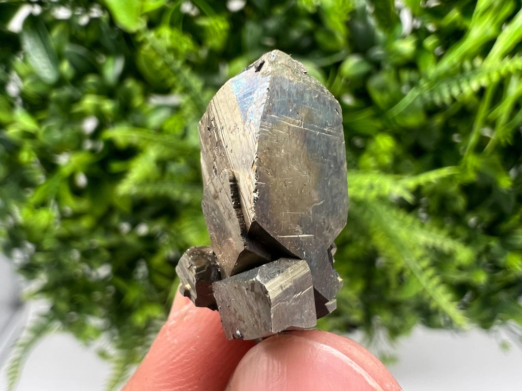 Mini Rainbow Pyrite Cluster: Borieva Mine, Bulgaria
