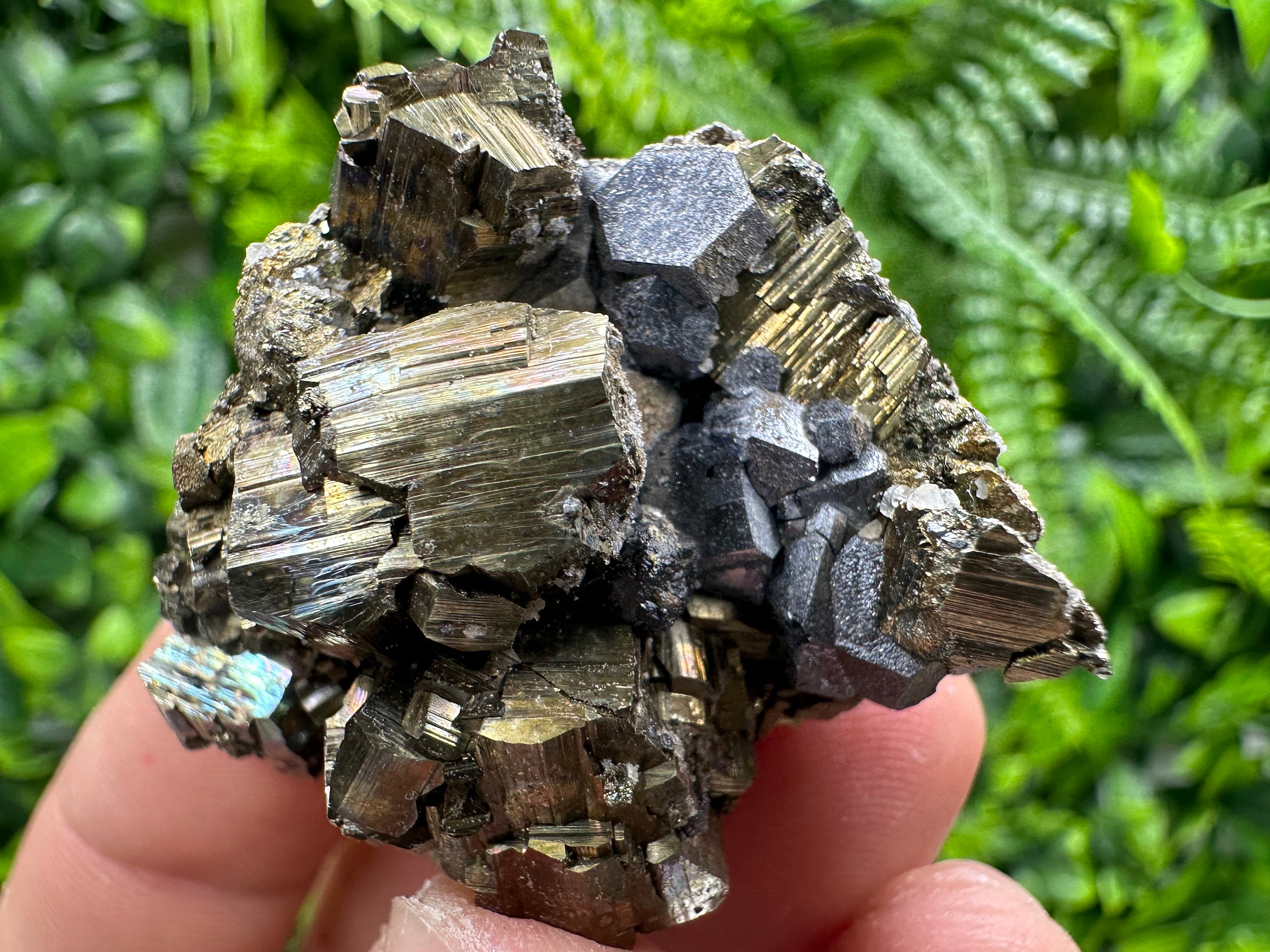 Pyrite with Hematite Specimen, Madan Bulgaria Mineral Gift