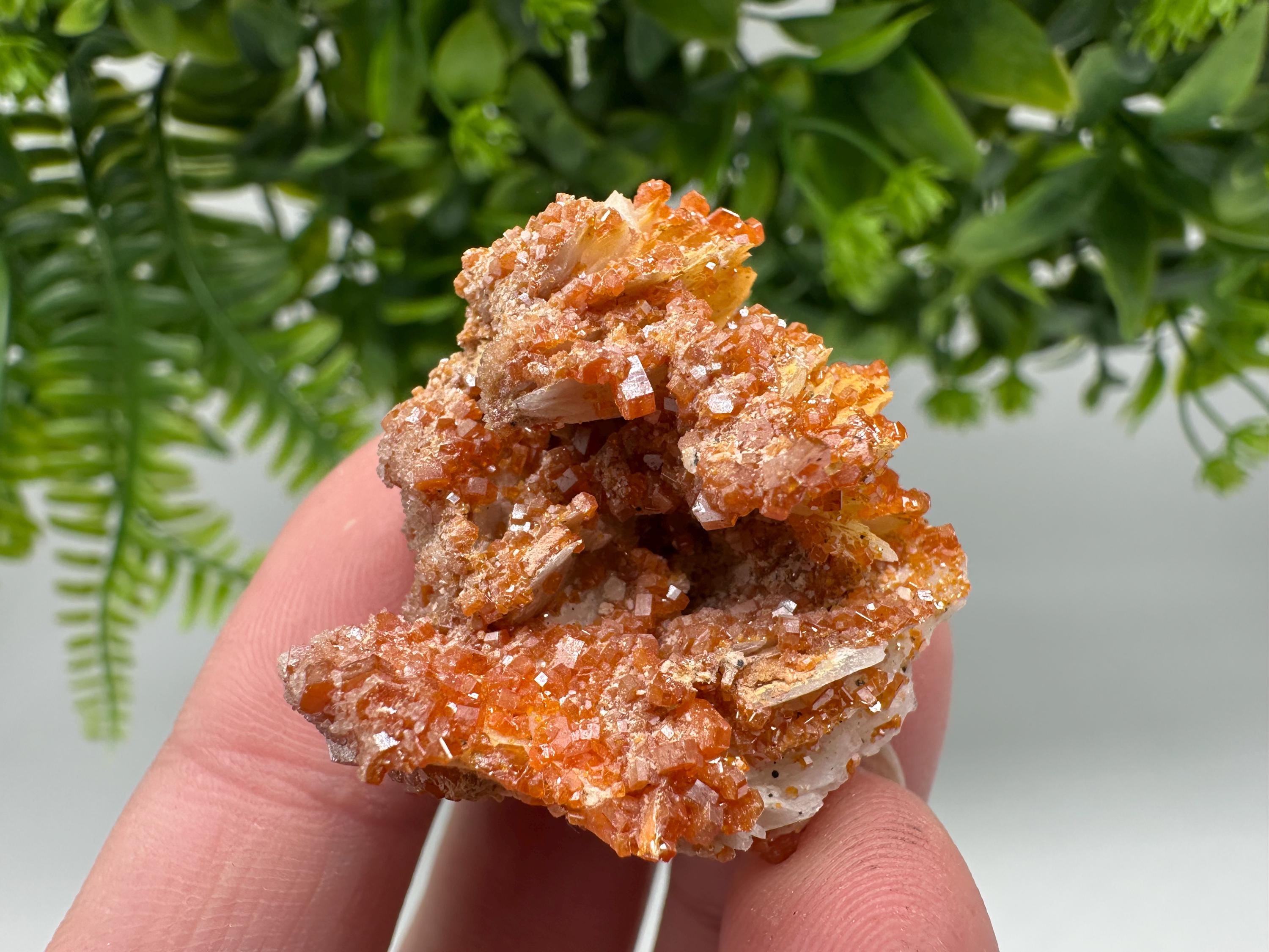 Red Vanadinite on Barite from Marocco,crystal minerals Speciment cluster Vanadinite crystal Vanadinite Geology Vanadinite cluster minerals