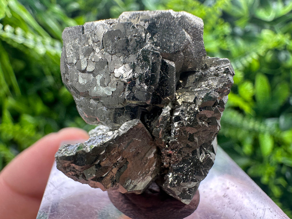Rare Shiny Pyrite Crystal: Natural Fool's Gold Mineral Souvenir