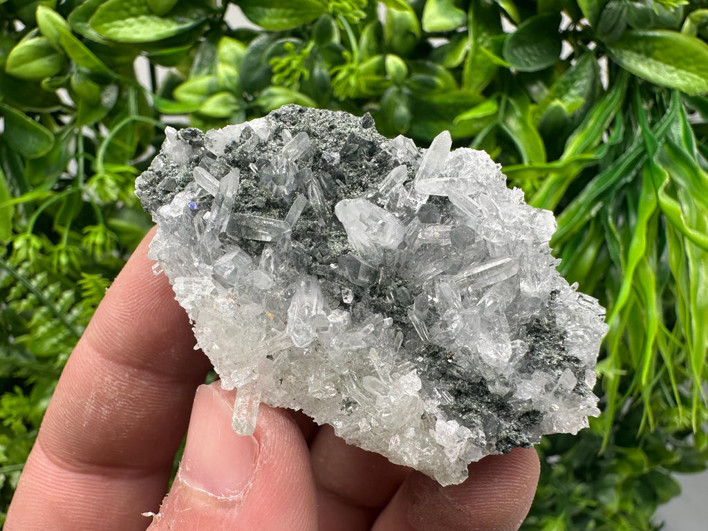 Transparent Quartz on Chlorite Matrix, Borieva Mine Mineral Specimen