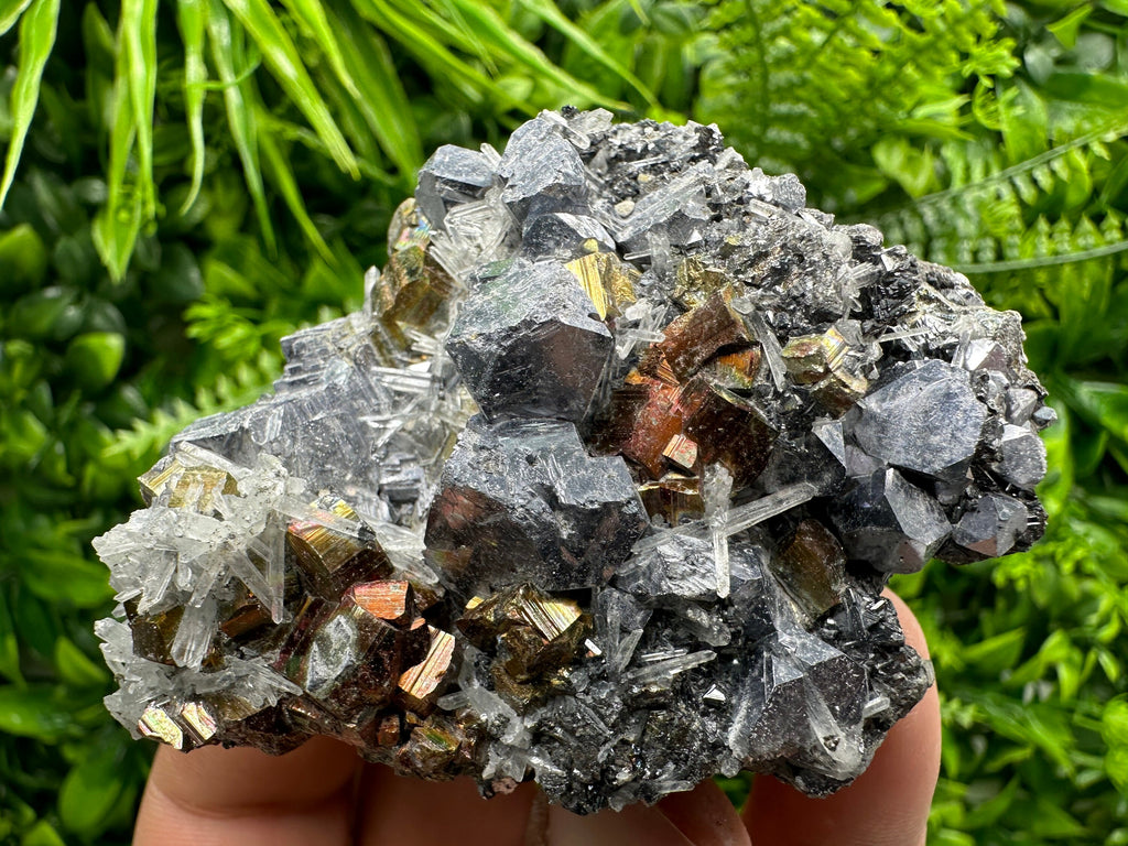 Red Pyrite, Galena, Sphalerite & Quartz Crystal Cluster - Borieva Mine