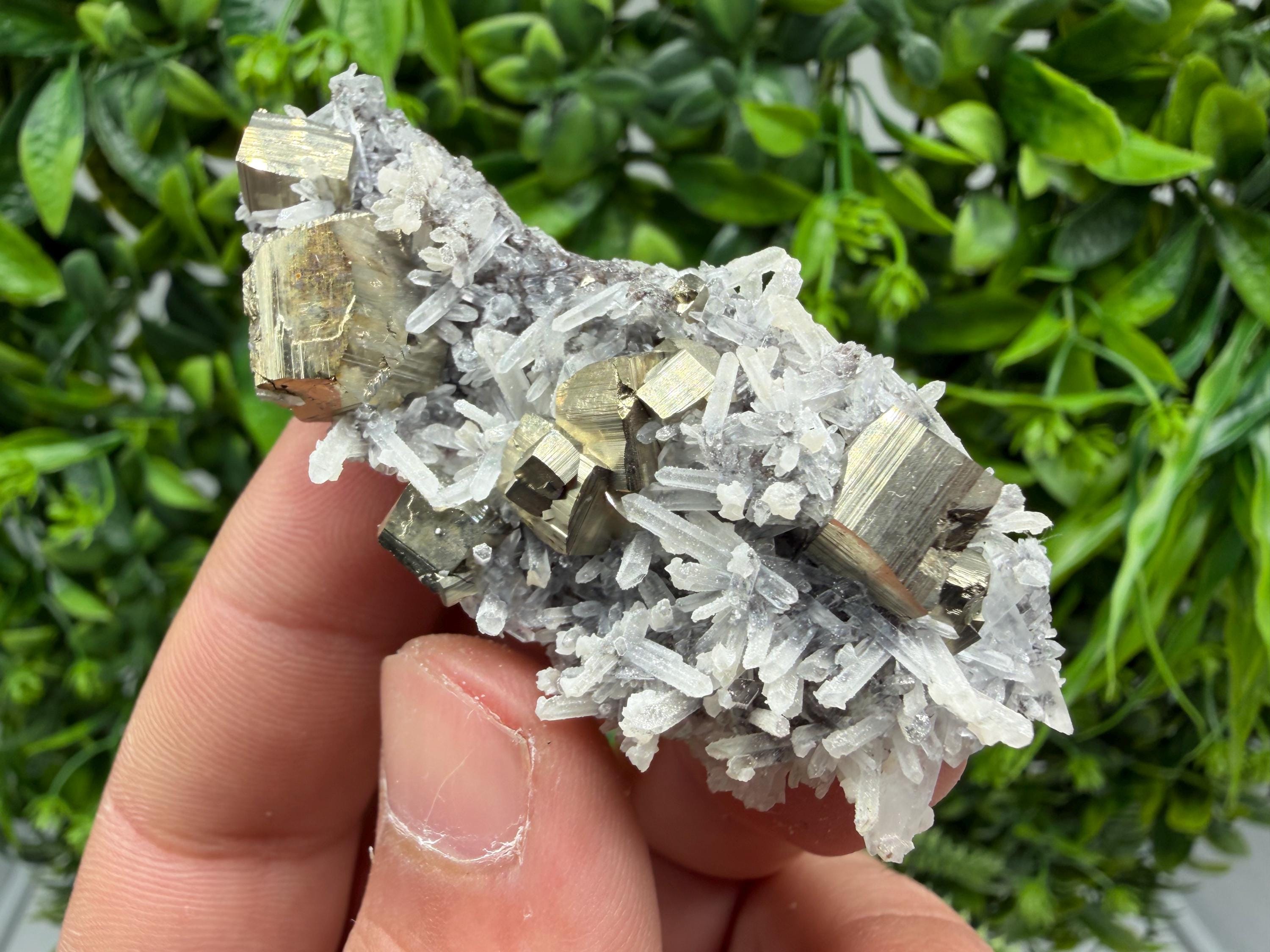 Pyrite Sphalerite Quartz  Mineral Specimen, Krushev dol Mine