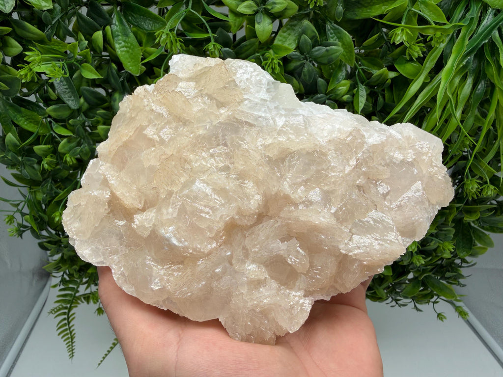Mangano Calcite with Galena, Borieva Mine, Bulgaria