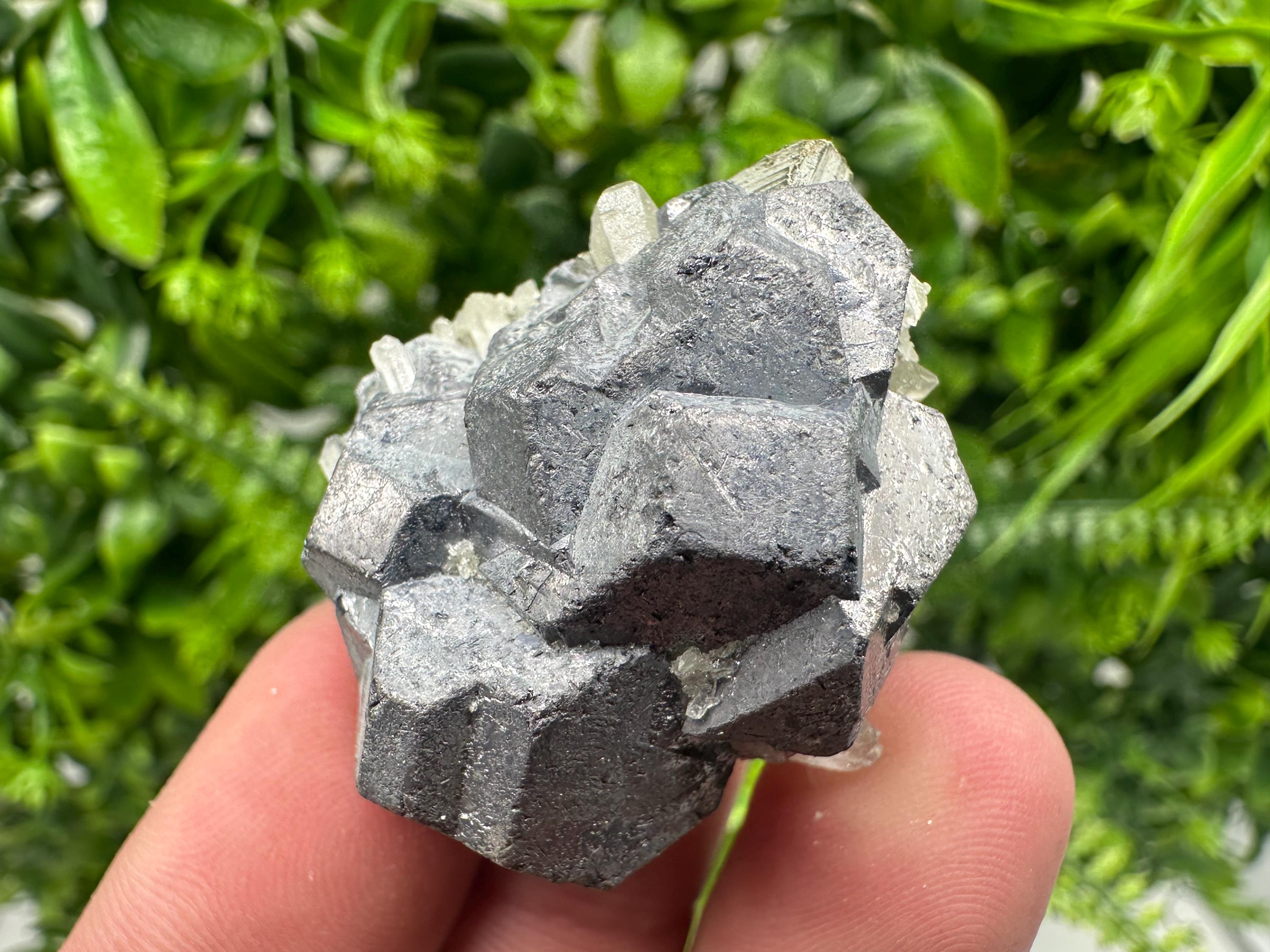 Galena on Pyrite Mineral Specimen, Borieva Mine, Bulgaria