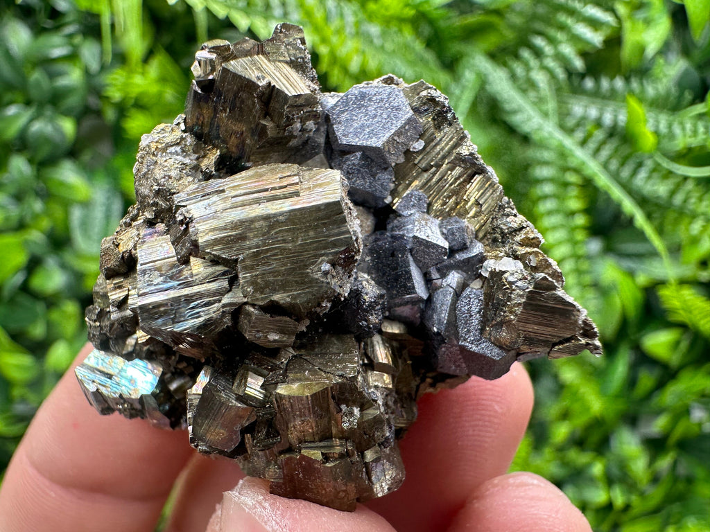 Pyrite with Hematite Specimen, Madan Bulgaria Mineral Gift