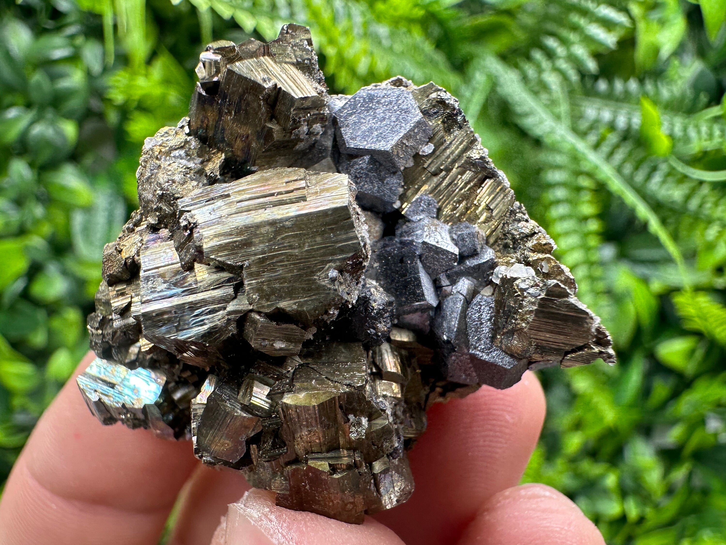Pyrite with Hematite Specimen, Madan Bulgaria Mineral Gift