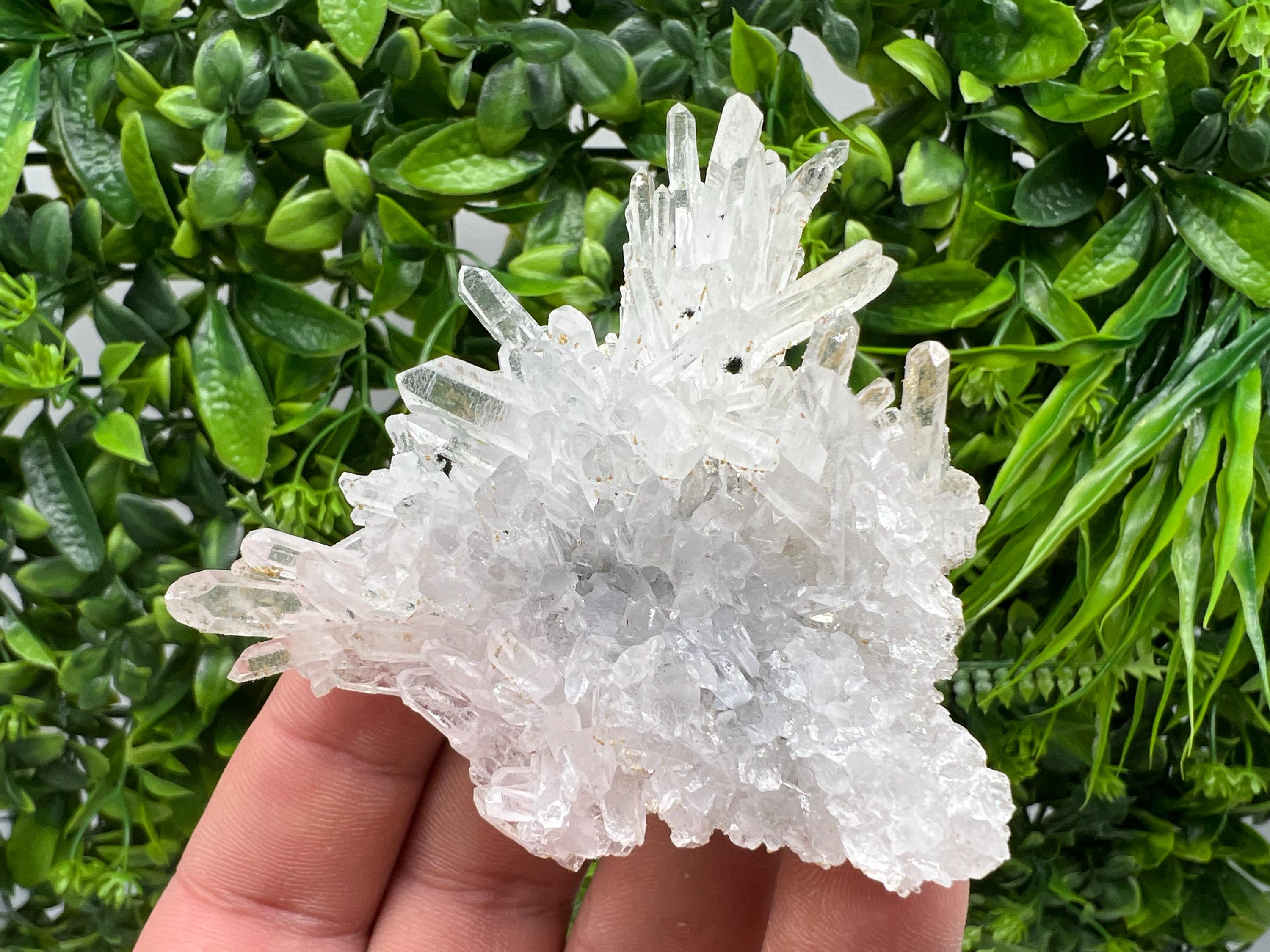 Transparent Quartz on Chlorite Matrix, Bulgaria Mineral Specimen