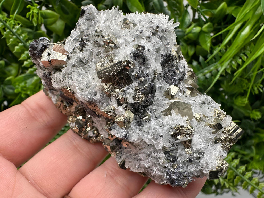 Pyrite on Green Quartz Mineral Specimen, Borieva Bulgaria
