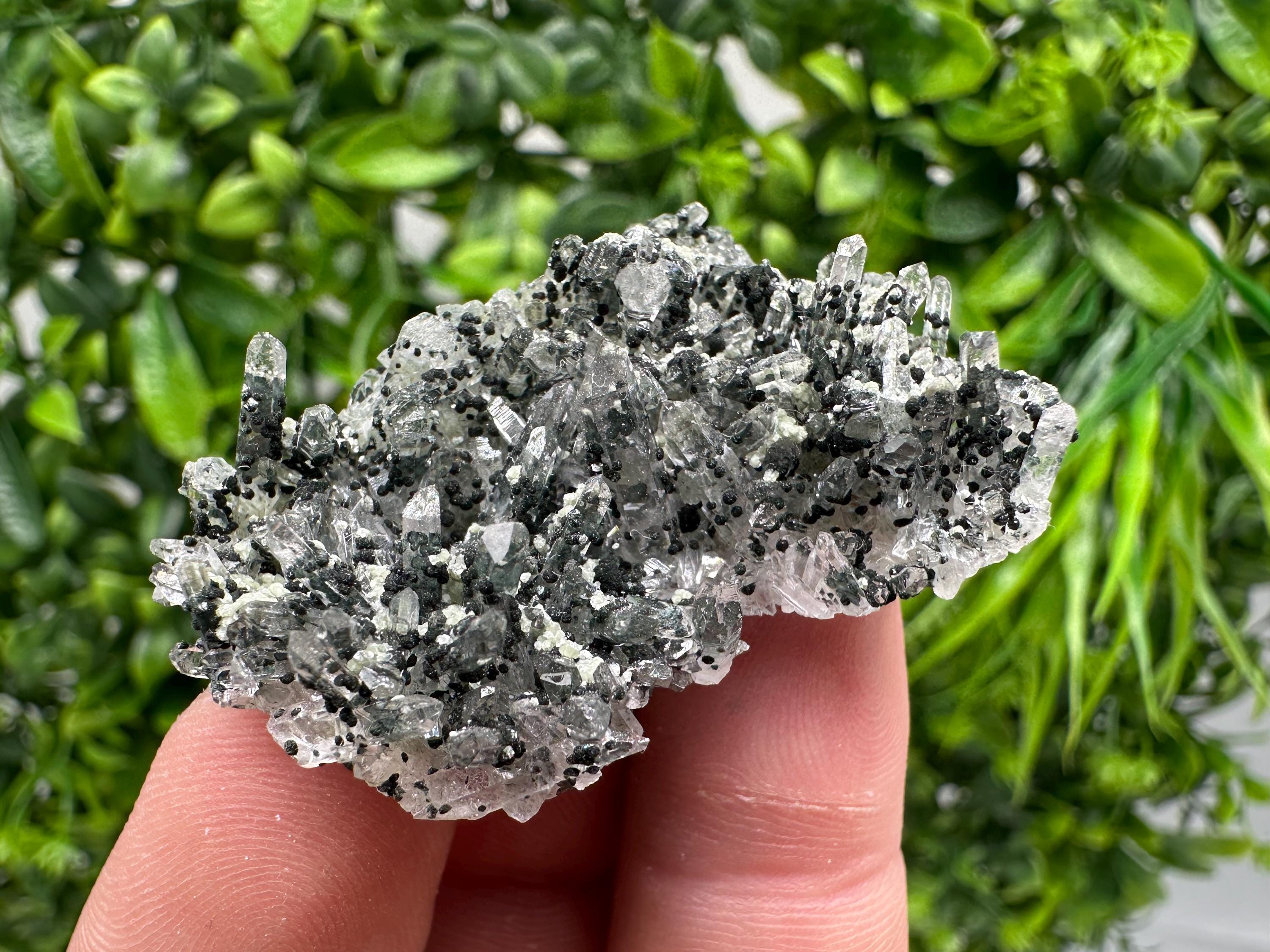 Chlorite Quartz Mineral Specimen, Borieva Mine, Bulgaria