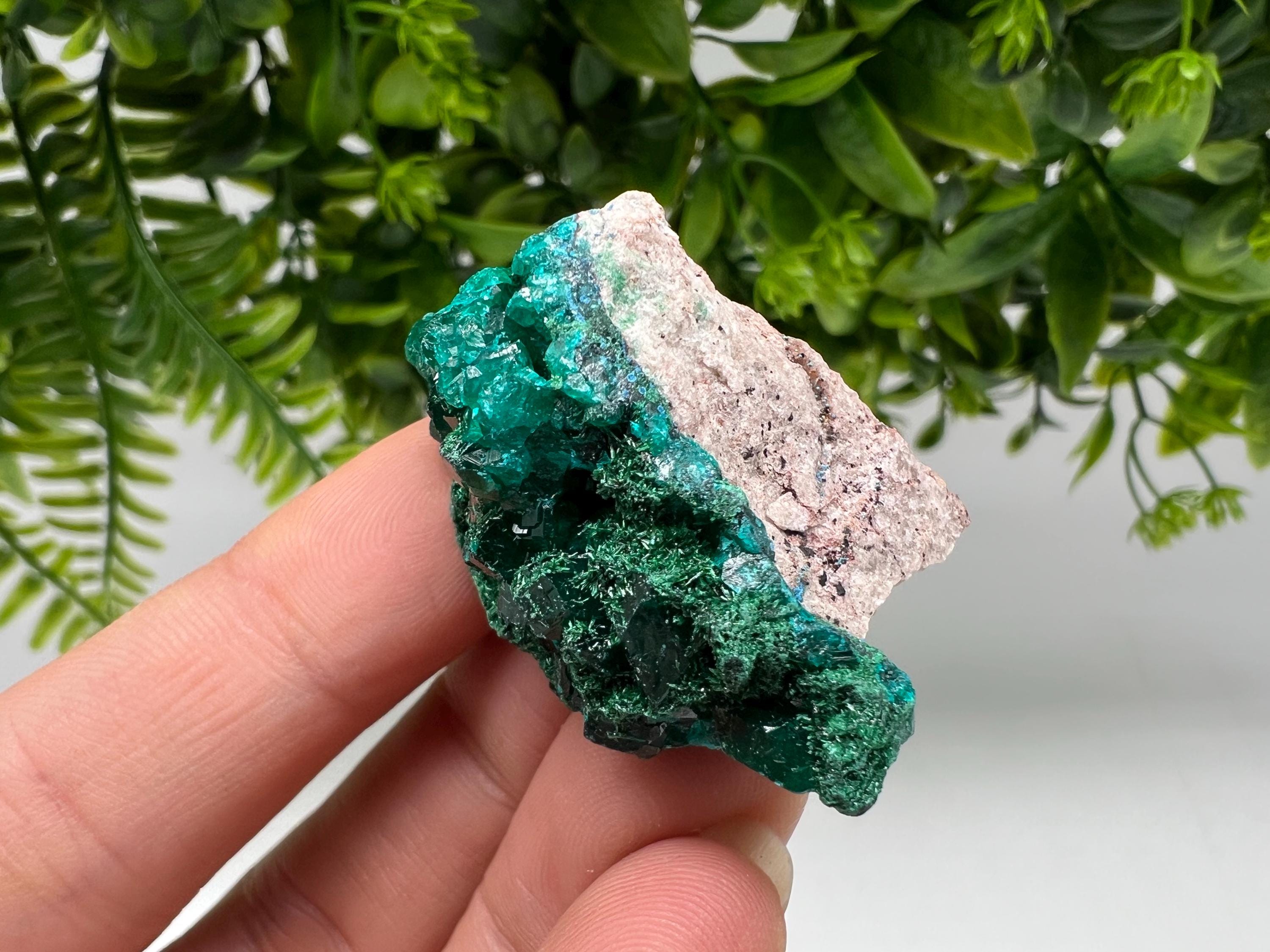 Stunning Green Dioptase from Sanda Hills,Mindouli,Pool Department,Mindouli District,Congo,green Dioptase,Dioptas Crystal,Dioptase collecting