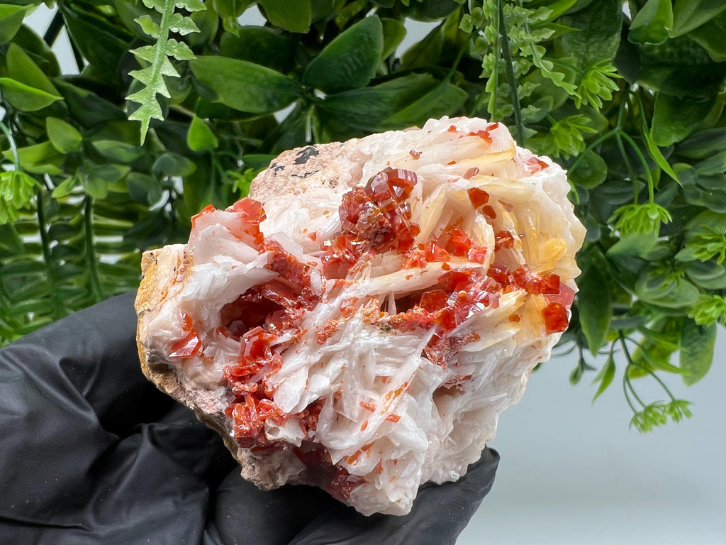 Red Vanadinite on Barite from Marocco,crystal minerals Speciment cluster Vanadinite crystal Vanadinite Geology Vanadinite cluster minerals