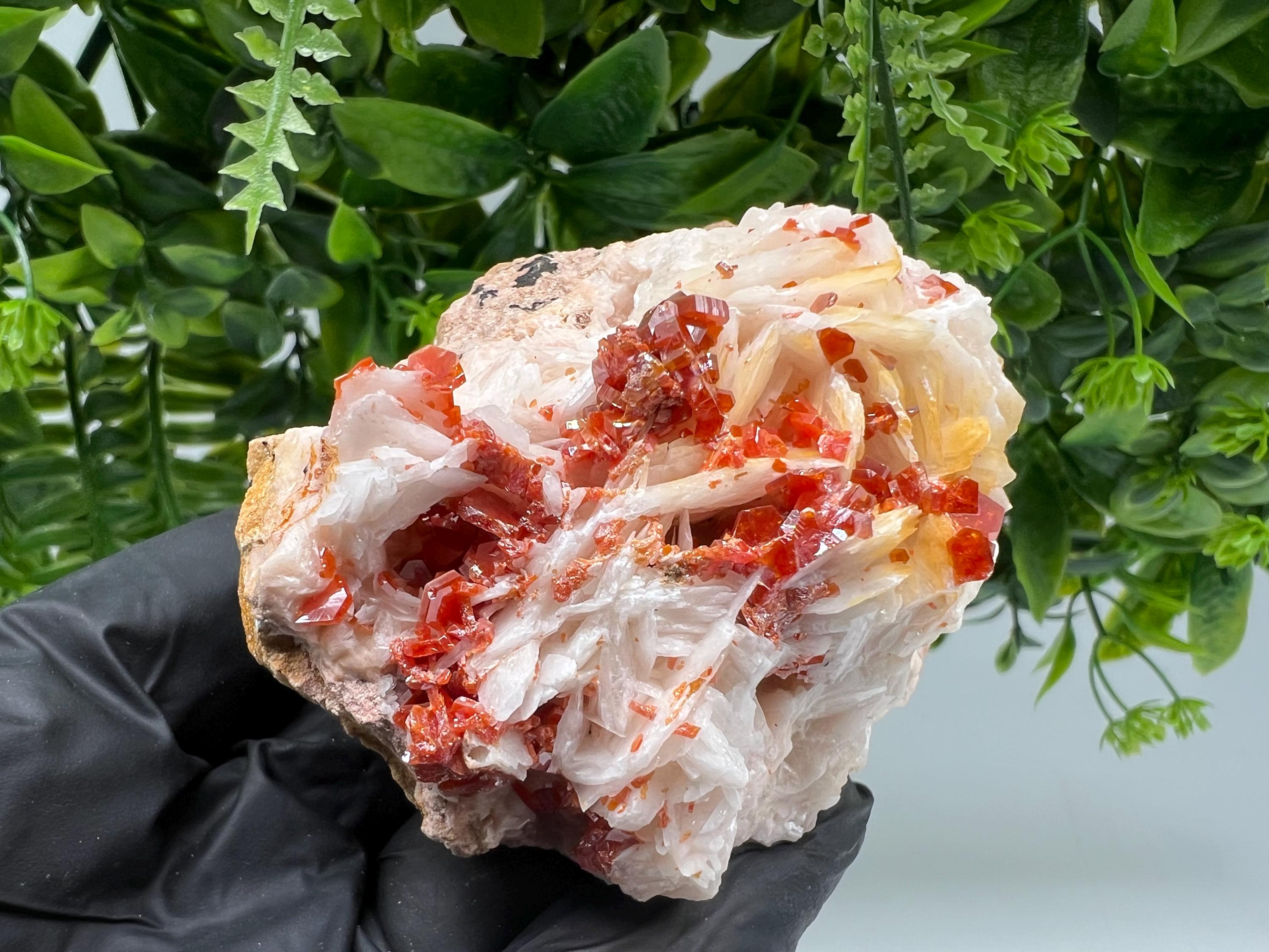 Red Vanadinite on Barite from Marocco,crystal minerals Speciment cluster Vanadinite crystal Vanadinite Geology Vanadinite cluster minerals