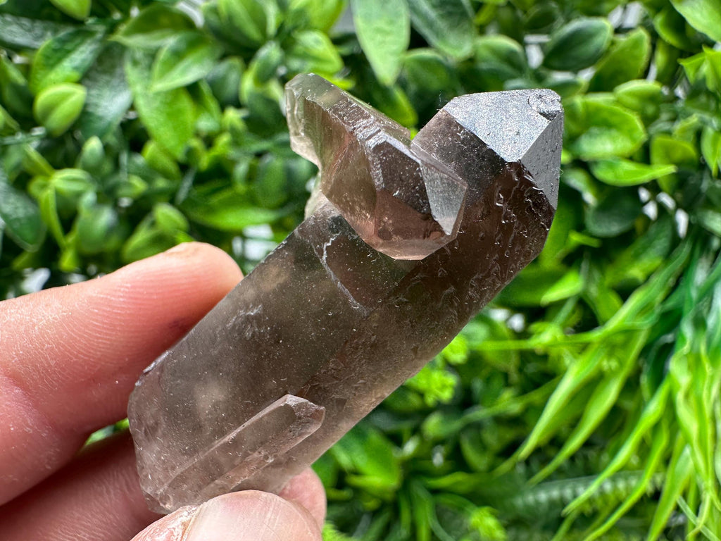 Rare Smoky Quartz Crystal Specimen, Brazil