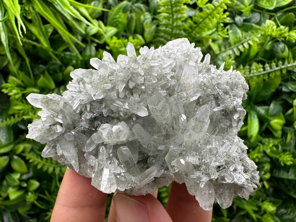 Chlorite Quartz Cluster, Borieva Mine Mineral Specimen, Bulgaria