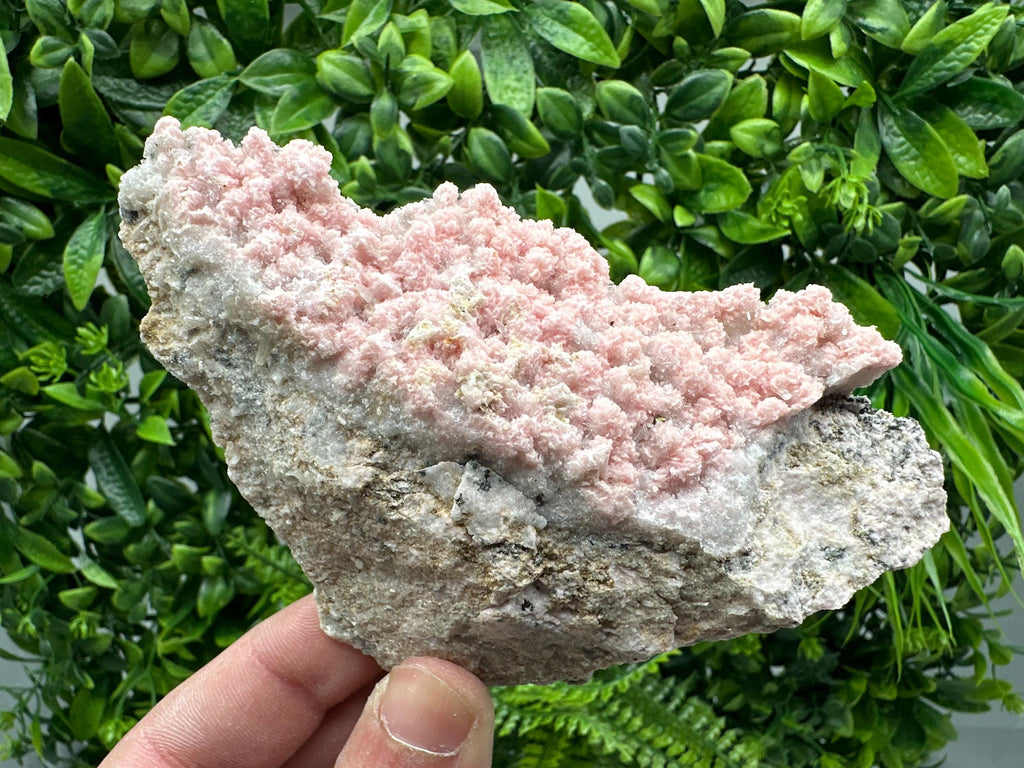 Rhodochrosite on Quartz, Starnica Mine, Bulgaria