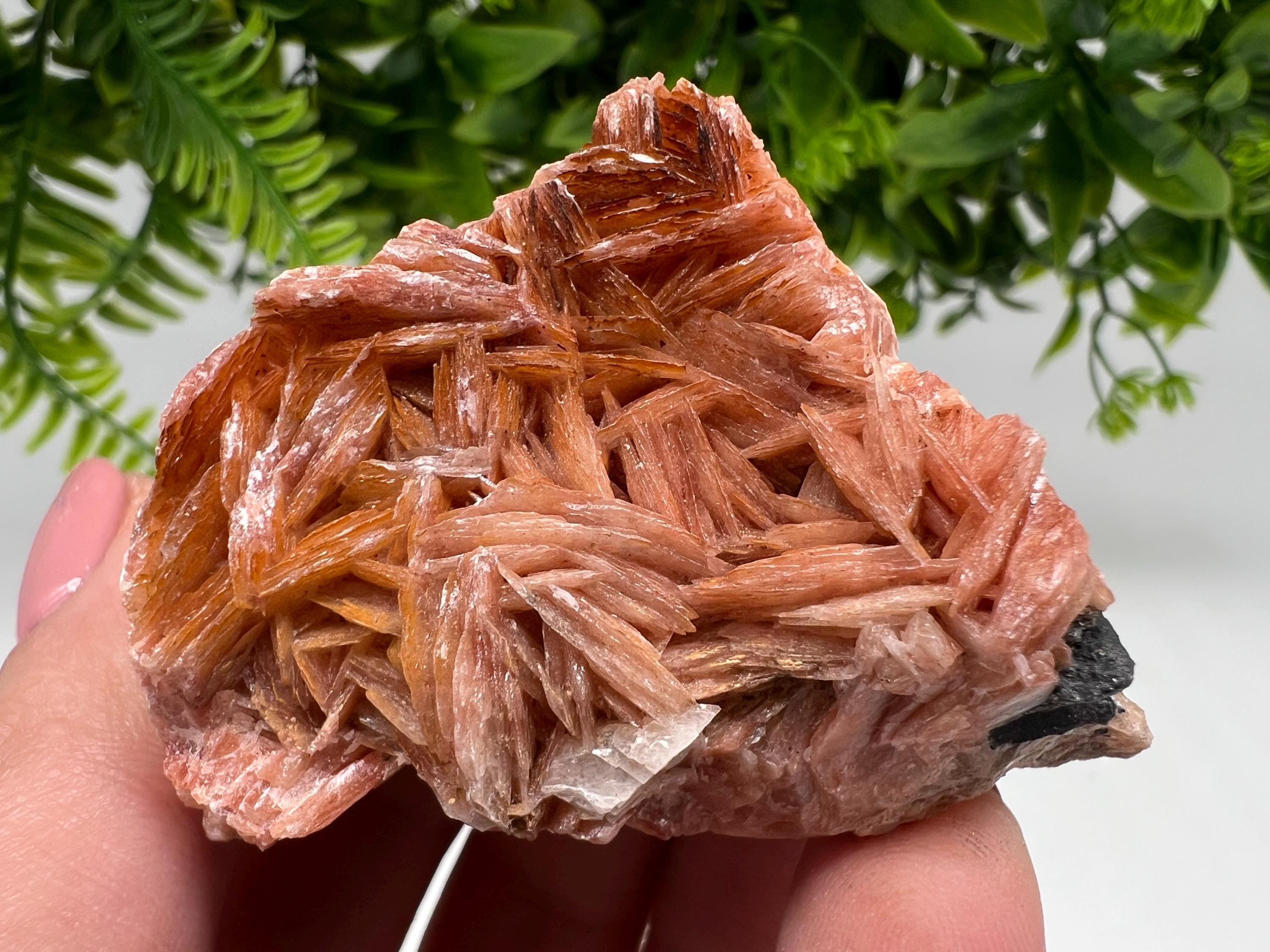 Wonderful Baryte with Cerussite on Galena from Morocco,Crystal, Mineral,Specimen,Cluster,Crystals,Barite Crystal,Cerussite Crystal,Specimen