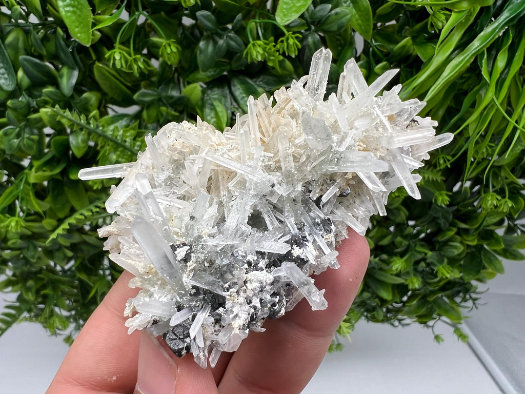 Quartz with Sphalerite Cluster, Krushev dol Bulgaria