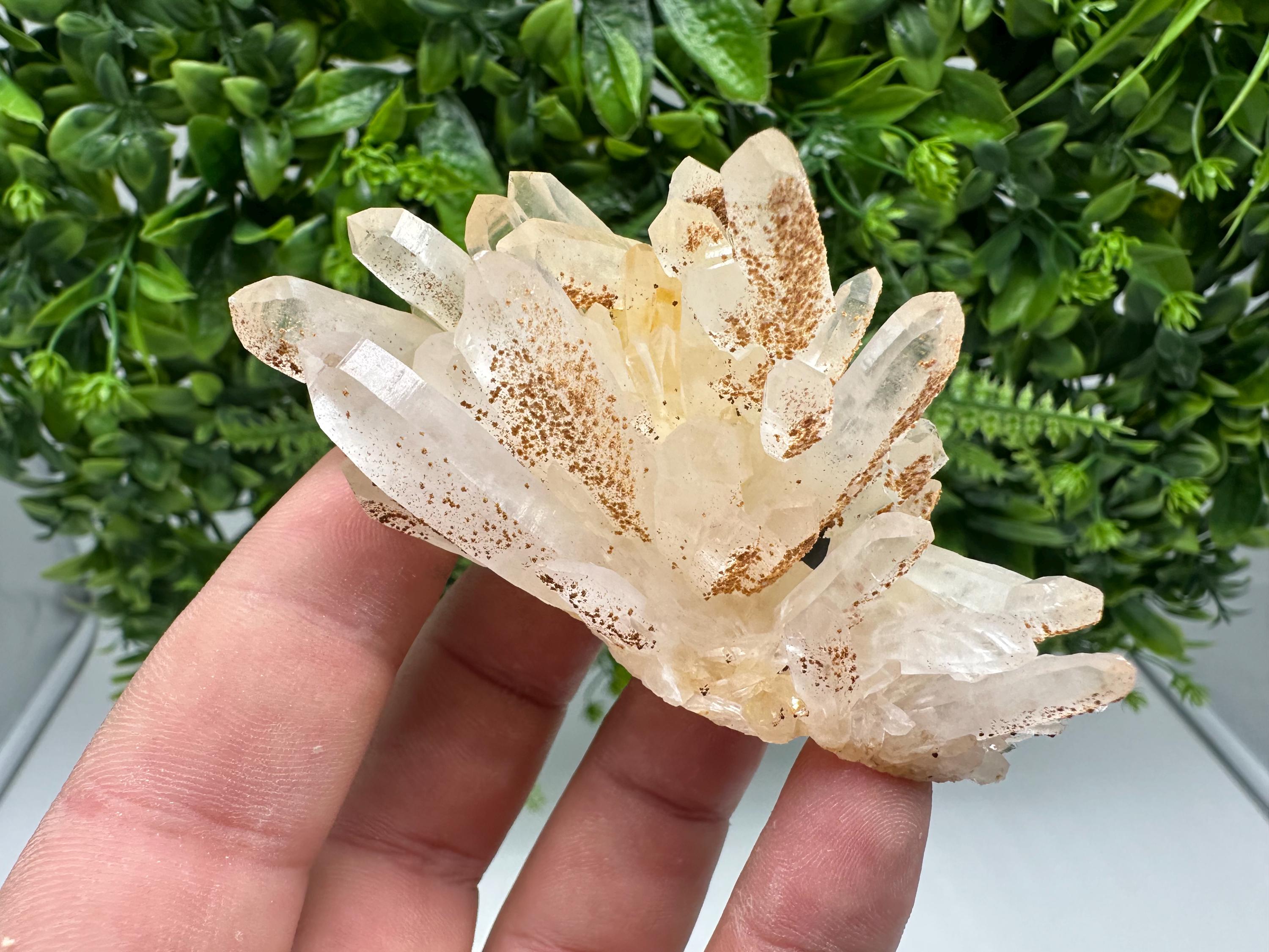 Transparent Quartz whit Siderite 9th September mine Bulgaria natural minerals souvenir crystal stone gift minerals collection rock