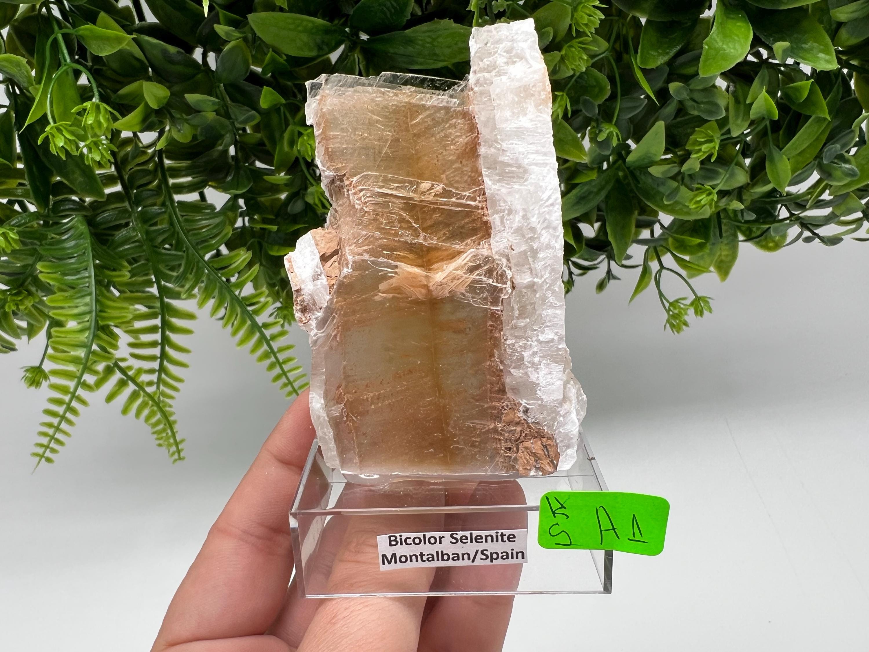 Golden Phantom Selenite Slab: Utah Raw Crystal Wand (5.5/8cm)