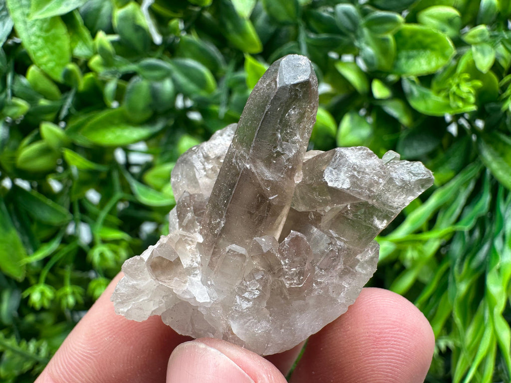 Rare Smoky Quartz Crystal Cluster, Brazil Mineral Specimen