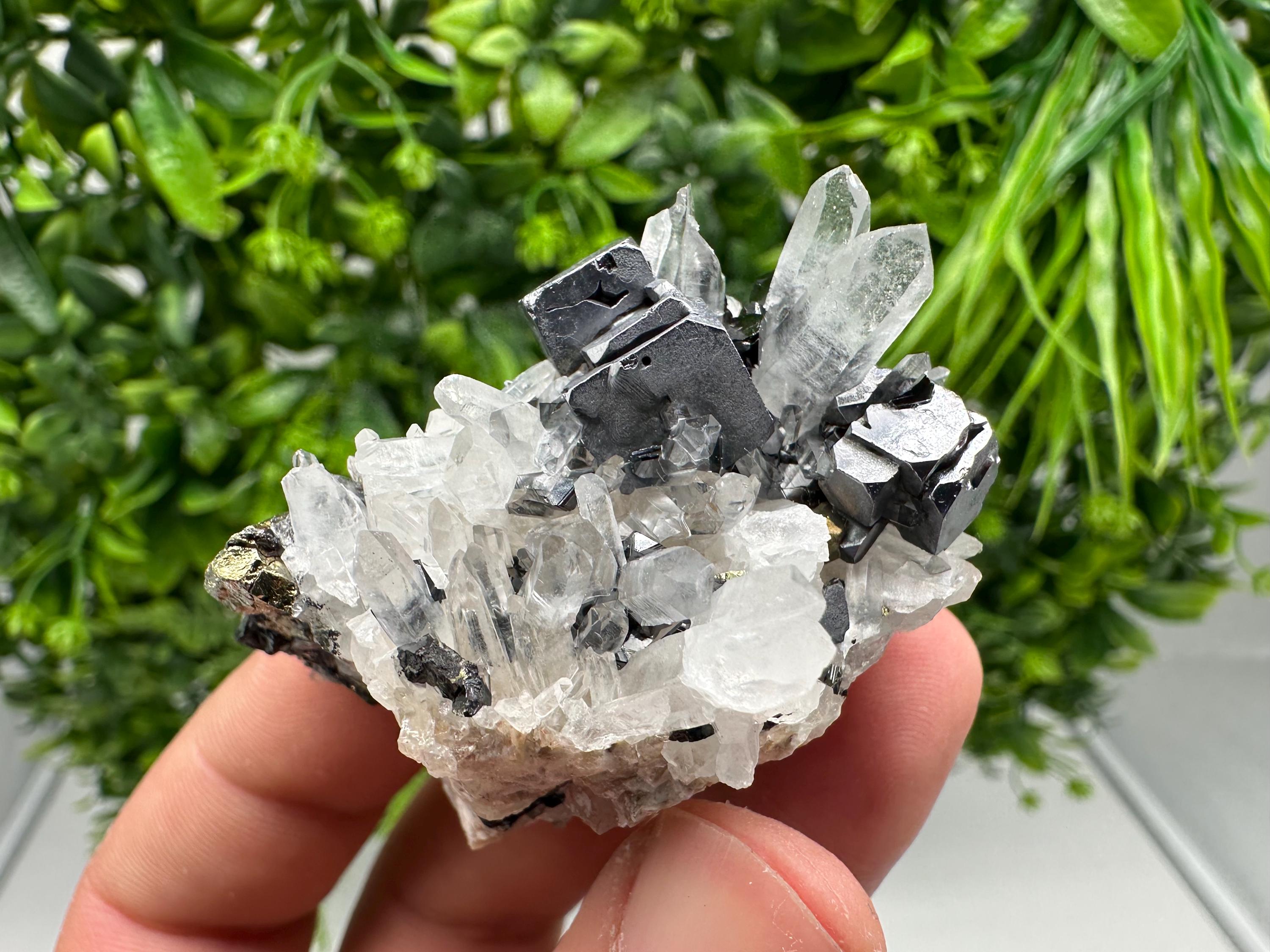 Aesthetic Natural shiny Galena whit Siderite and Quartz from 9 th September mine,Bulgaria,collection specimen,rare galena,Galena cluster