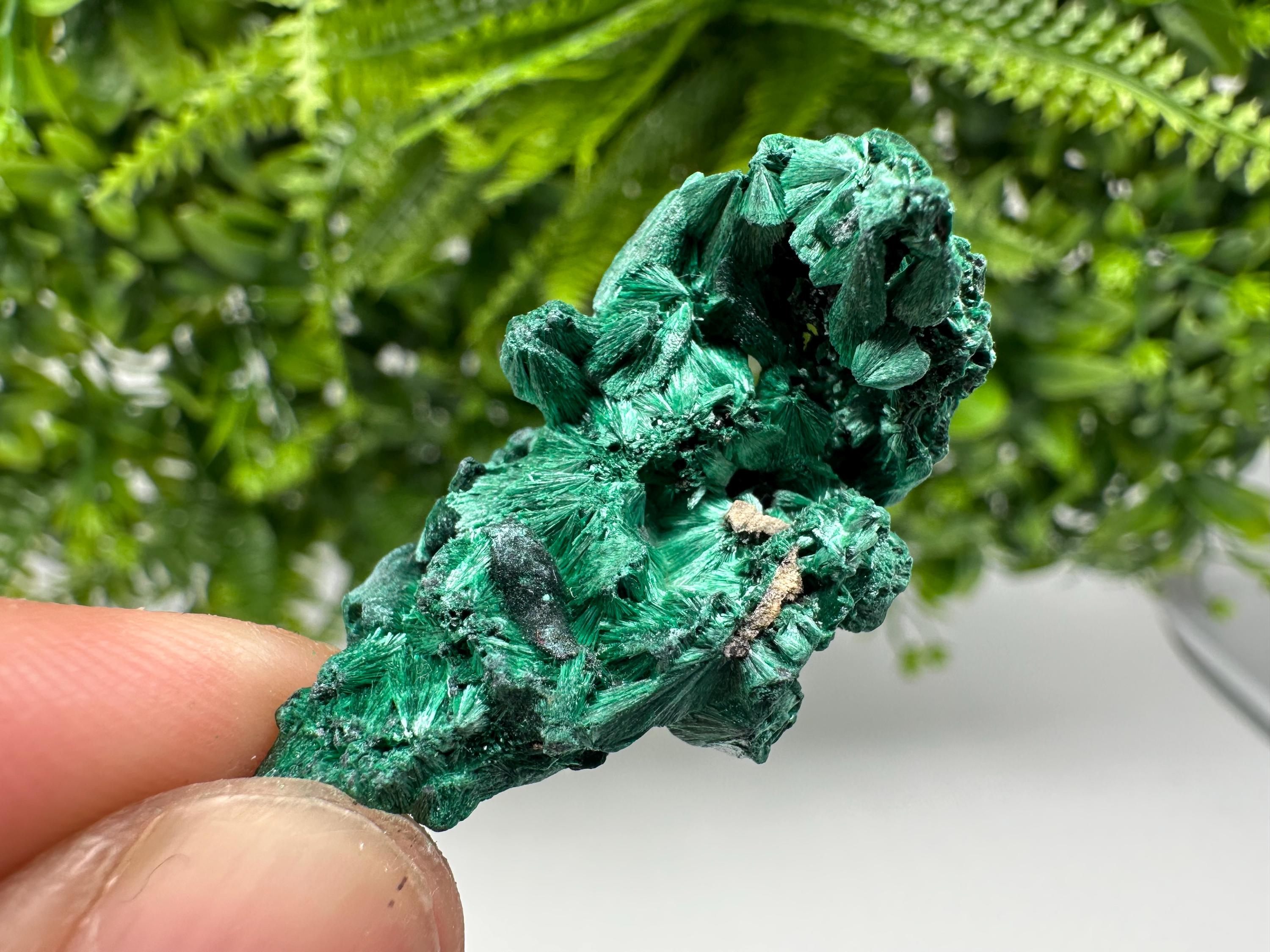Malachite Crystal from Congo,Minerals,Crystals from Congo,Green Malachite, Malachite,Natural Malachite,Malachite Stone,Chakra, Specimens