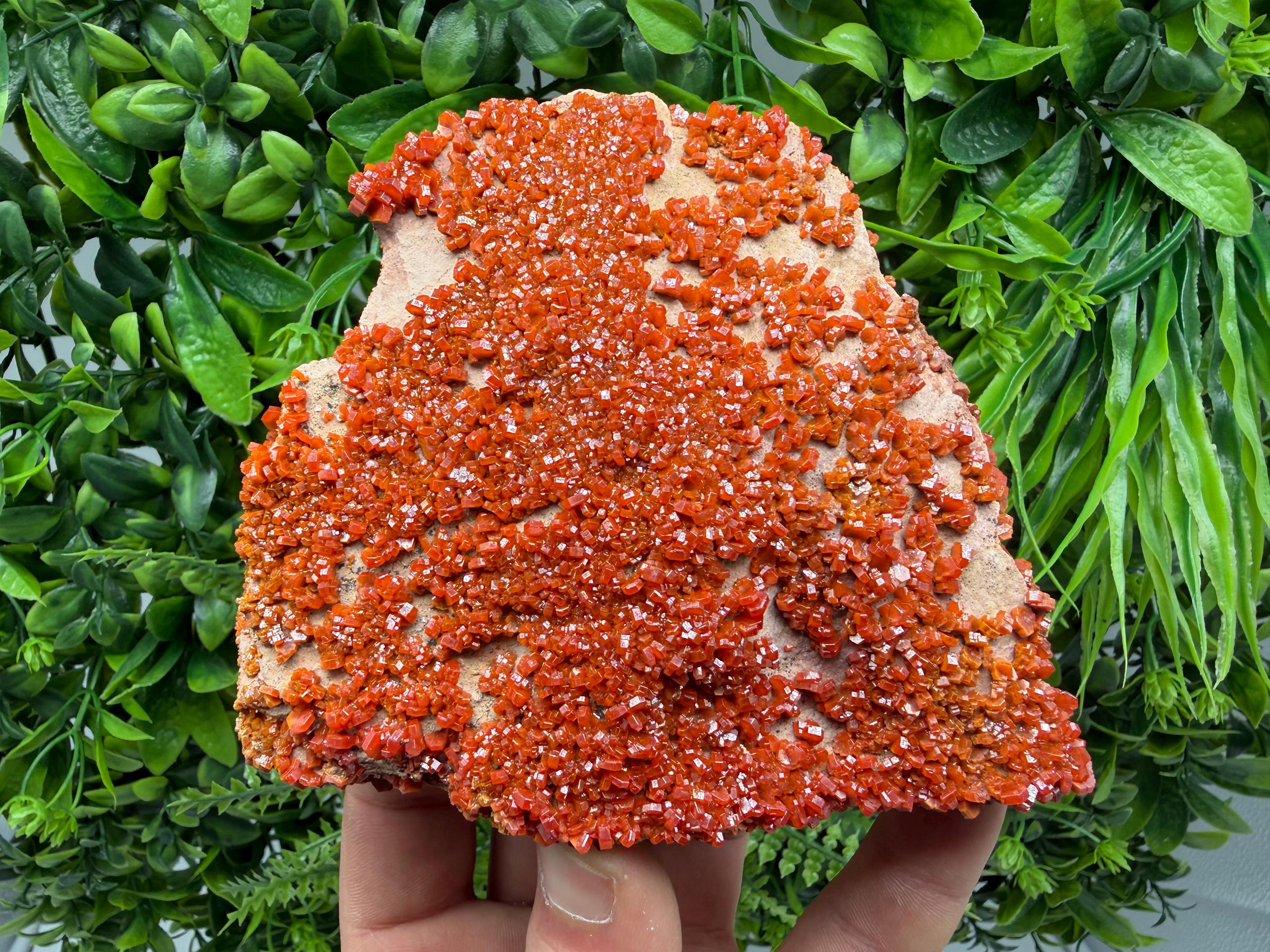 Red Vanadinite on Matrix from Marocco,crystal minerals Speciment cluster Vanadinite crystal Vanadinite Geology Vanadinite cluster minerals