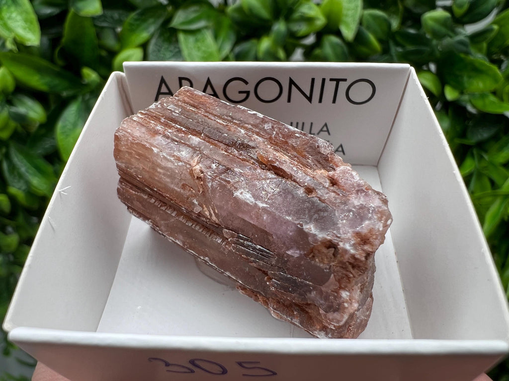 Amazing Aragonite from Spain,Aragonite crystal,cluster,natural,mineral,specimen,Purple Aragonite,Spanish Aragonite,Mineralcollection
