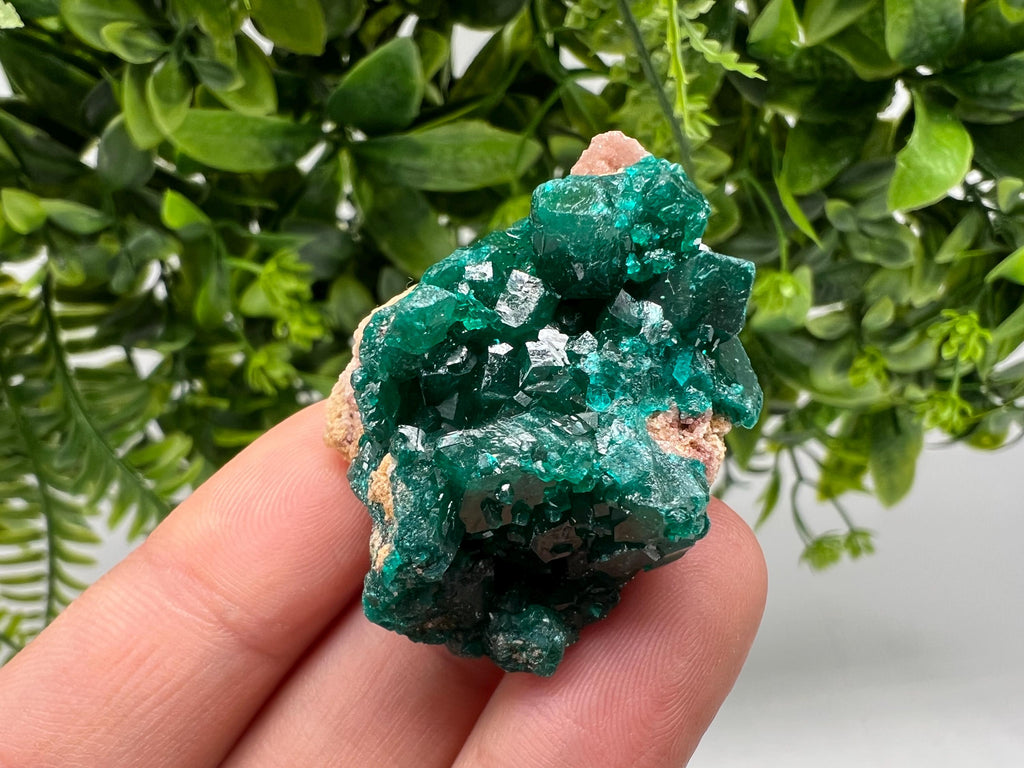 Stunning Green Dioptase from Sanda Hills,Mindouli,Pool Department,Mindouli District,Congo,green Dioptase,Dioptas Crystal,Dioptase collecting