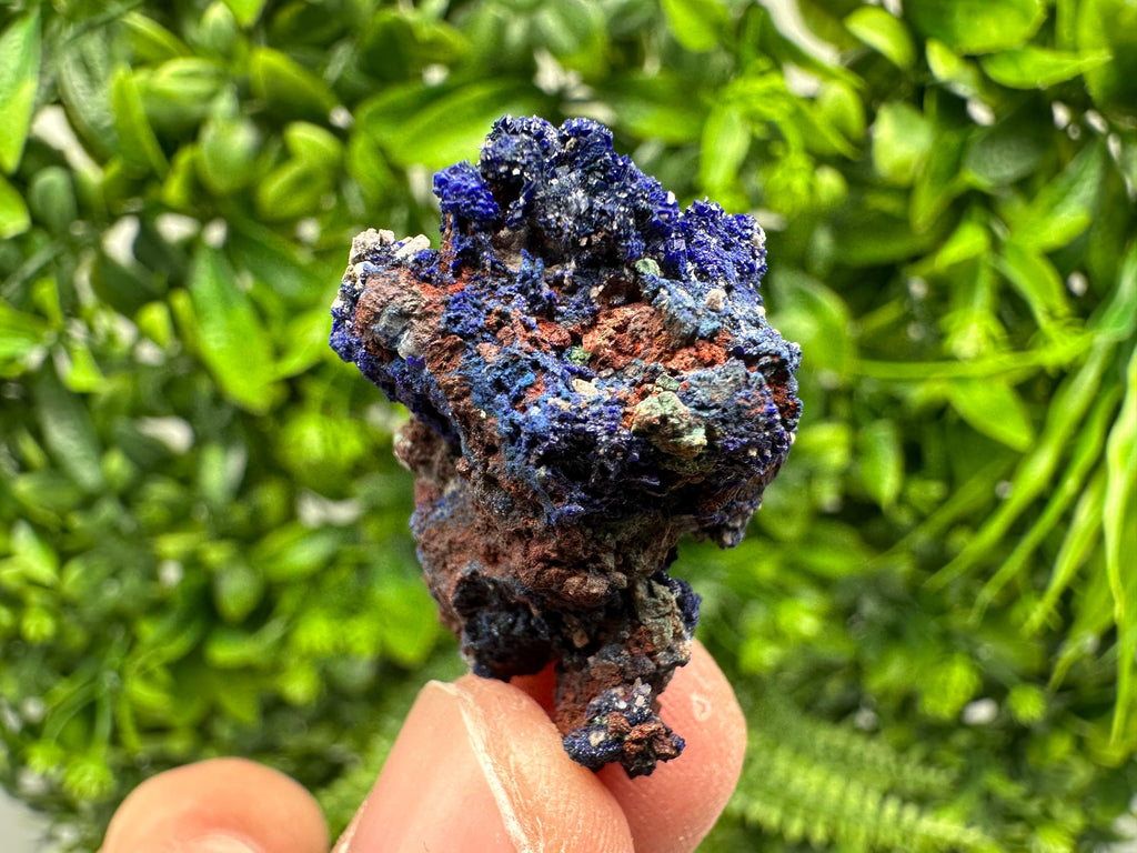 Crystallized Azurite-Kerrouchen,Morocco-Blue Azurite Specimen-High Quality Blue Azurite-Azurite Mineral Specimen, gemmy,lustrous of Azurite