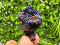 Crystallized Azurite-Kerrouchen,Morocco-Blue Azurite Specimen-High Quality Blue Azurite-Azurite Mineral Specimen, gemmy,lustrous of Azurite