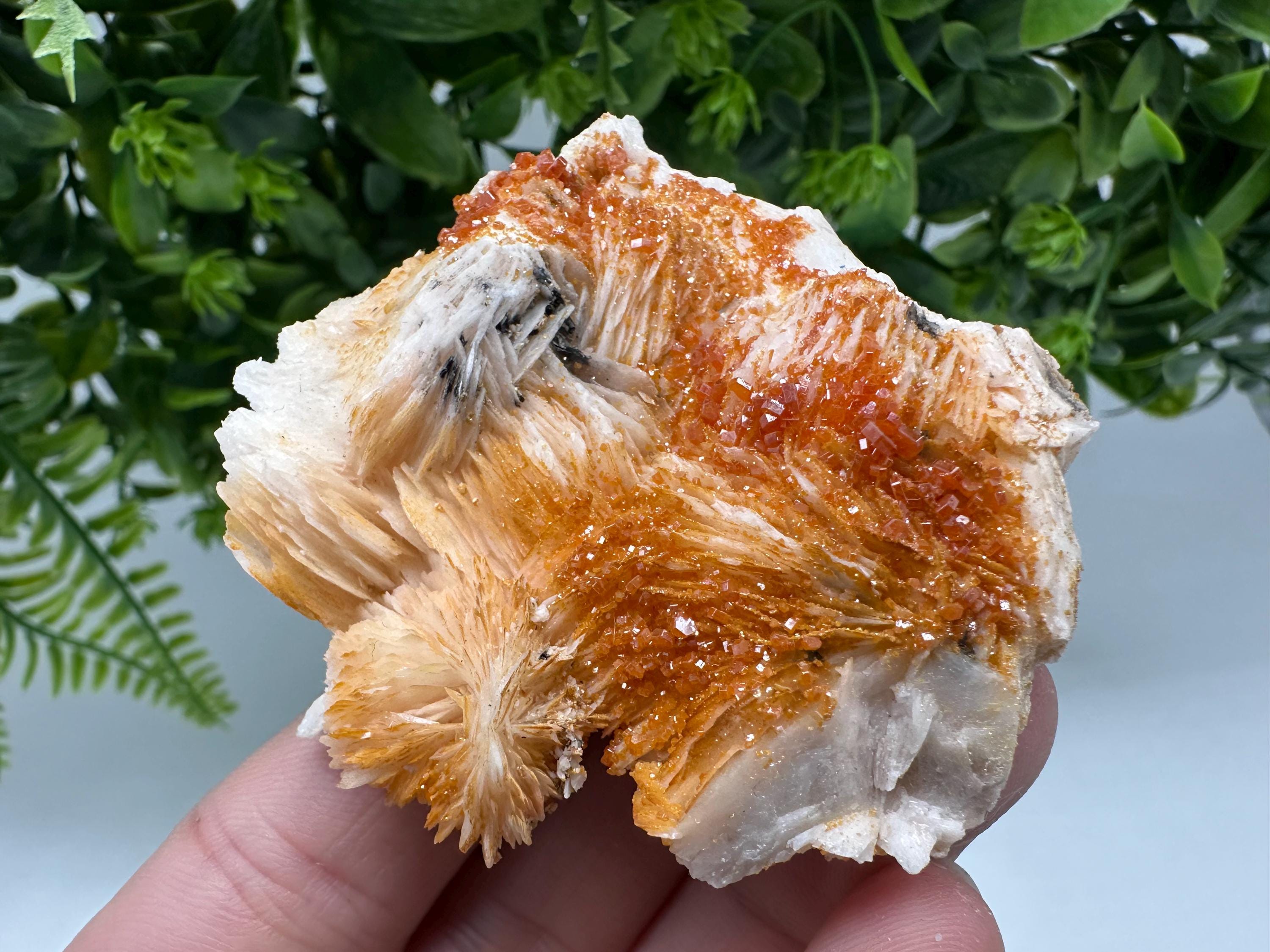 Red Vanadinite on Barite Crystal Specimen, Moroccan Mineral Cluster