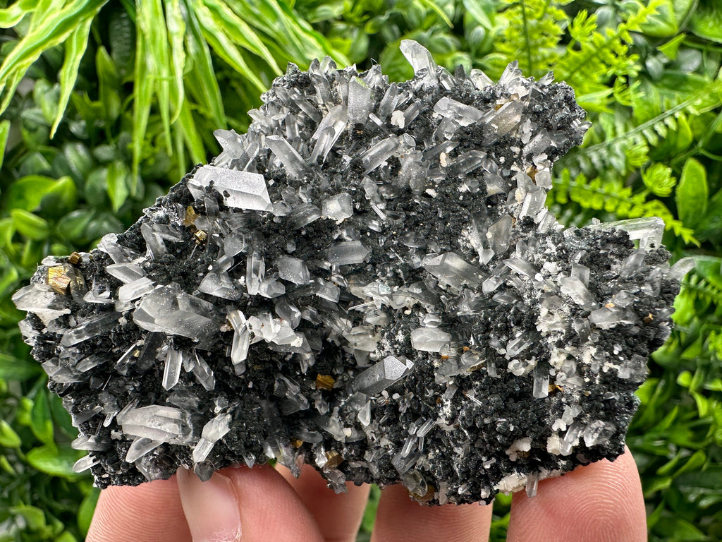 Pyrite on Quartz with Chlorite: Borieva Mine Crystal Decor