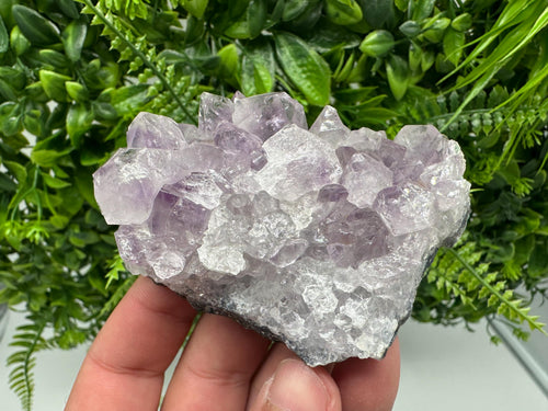 Brazilian Amethyst Cluster, Purple Quartz Specimen