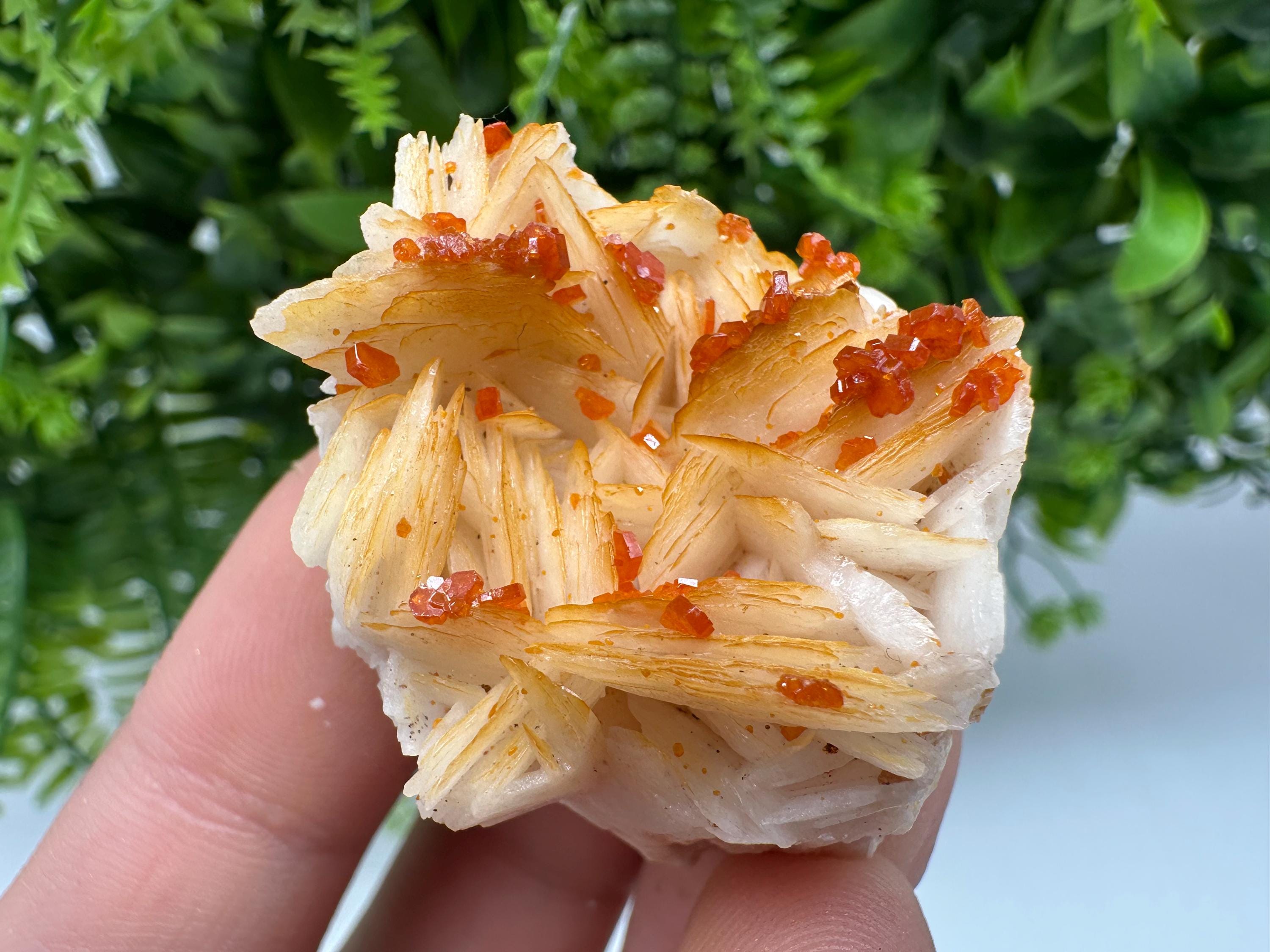 Red Vanadinite on Barite from Marocco,crystal minerals Speciment cluster Vanadinite crystal Vanadinite Geology Vanadinite cluster minerals