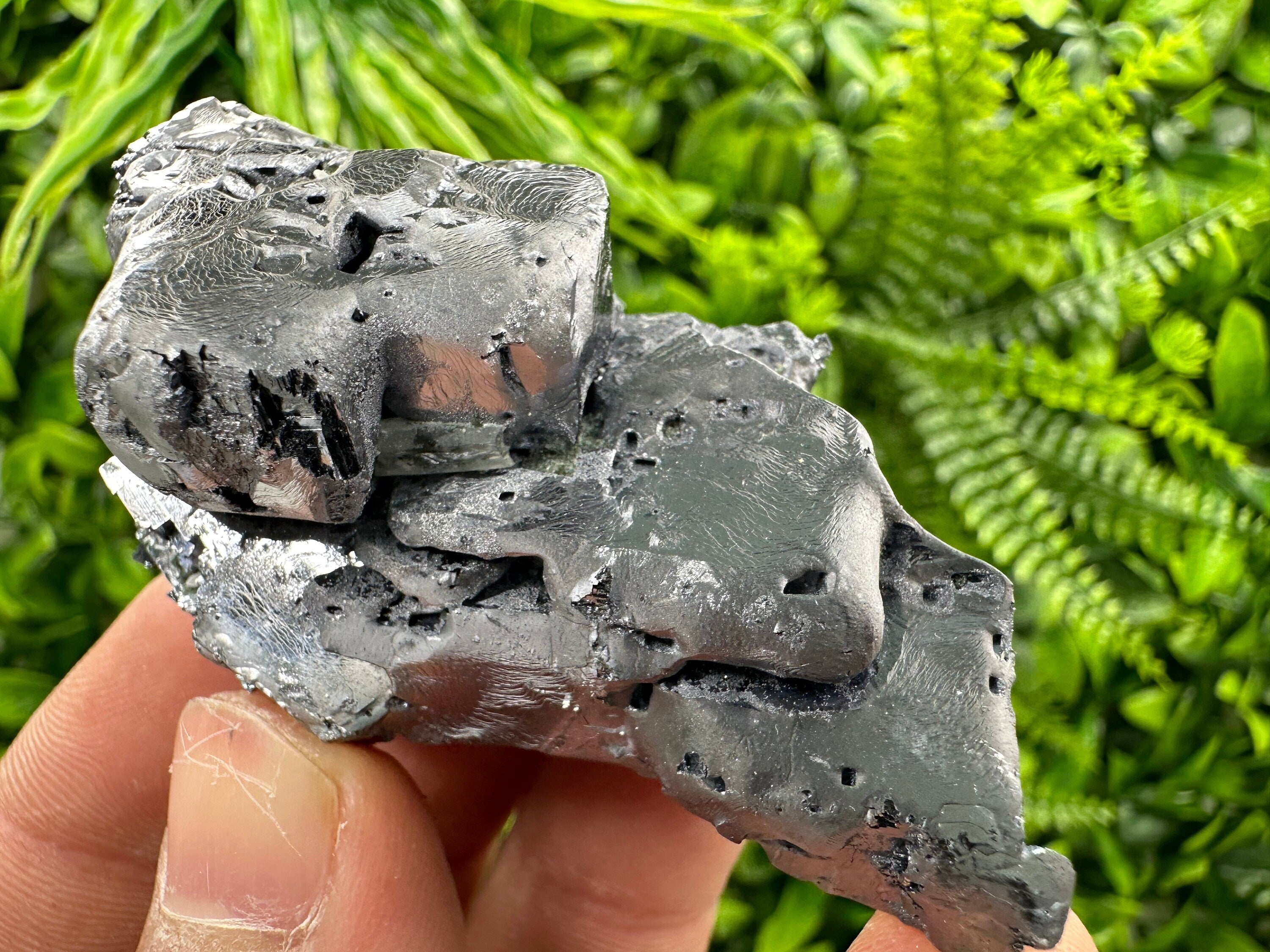 Shiny Galena Cluster: Rare Borieva Mine Crystal, Bulgaria