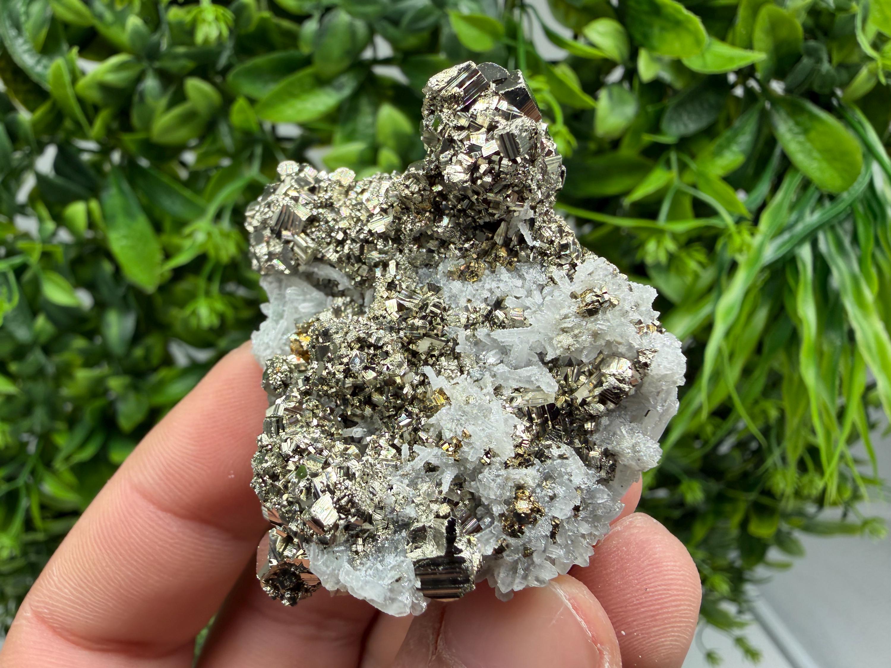 Pyrite Sphalerite Quartz  Mineral Specimen, Krushev dol Mine