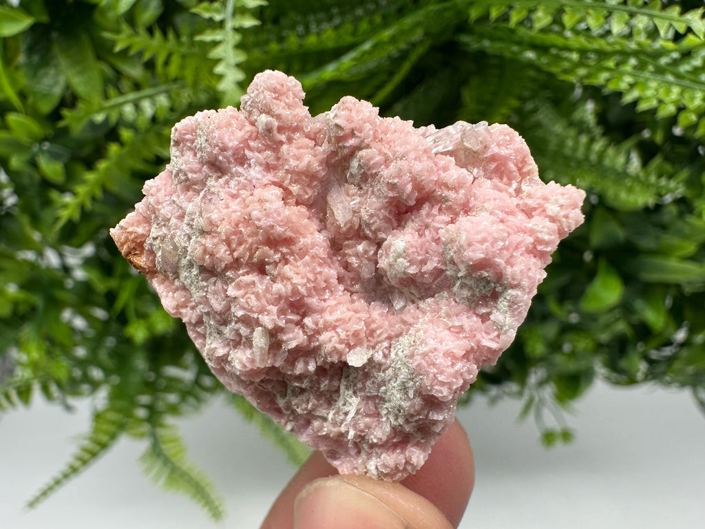 Rhodochrosite on Quartz, Starnica Mine, Bulgaria