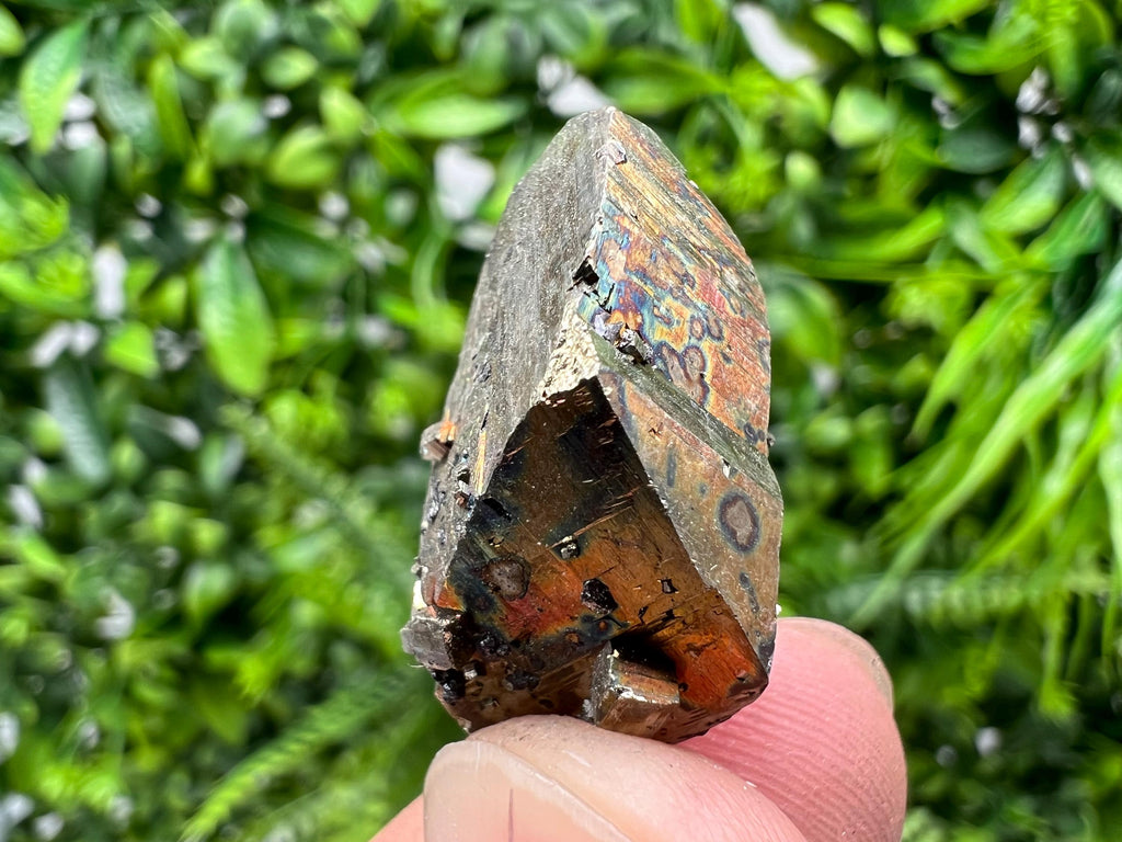 Mini Rare crystallisation Pyrite,Borieva mine,Bulgaria,floating Pyrite,golden Pyrite,Pyrite cluster,mini Collection specimen,Rainbow Pyrite