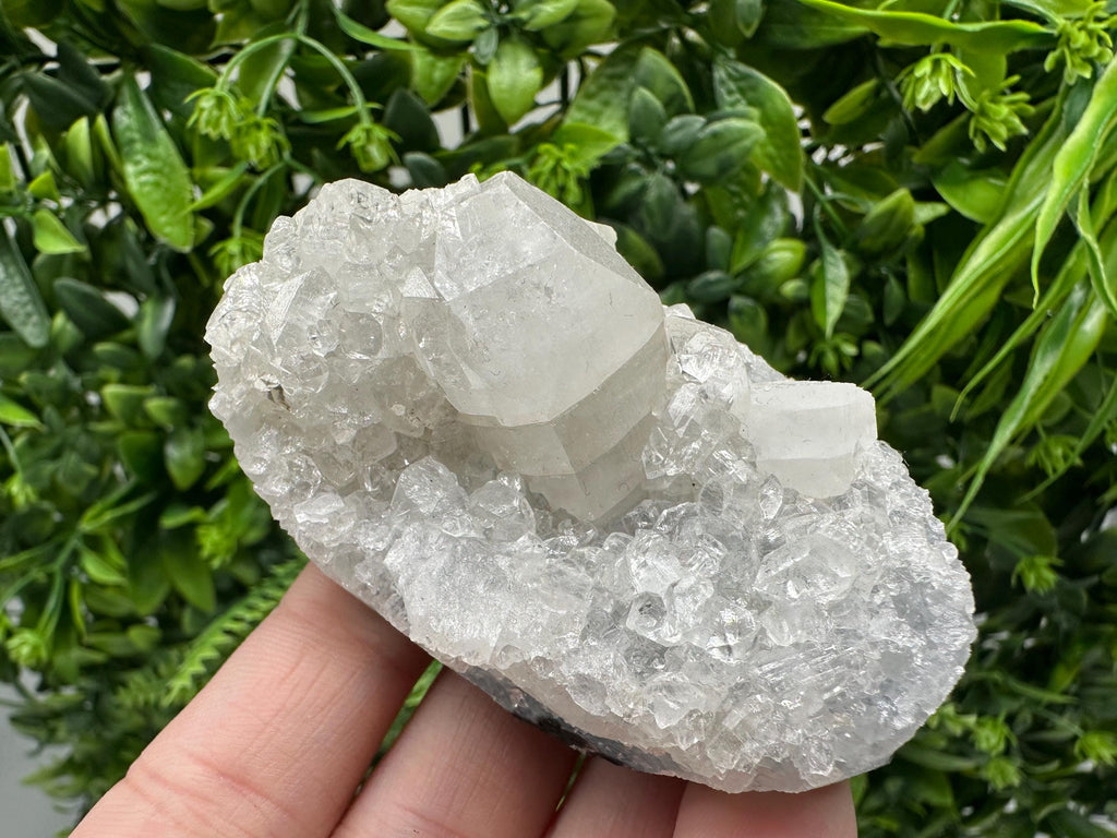 Apophyllite on Chalcedony Specimen: Transparent Crystal, India Minerals