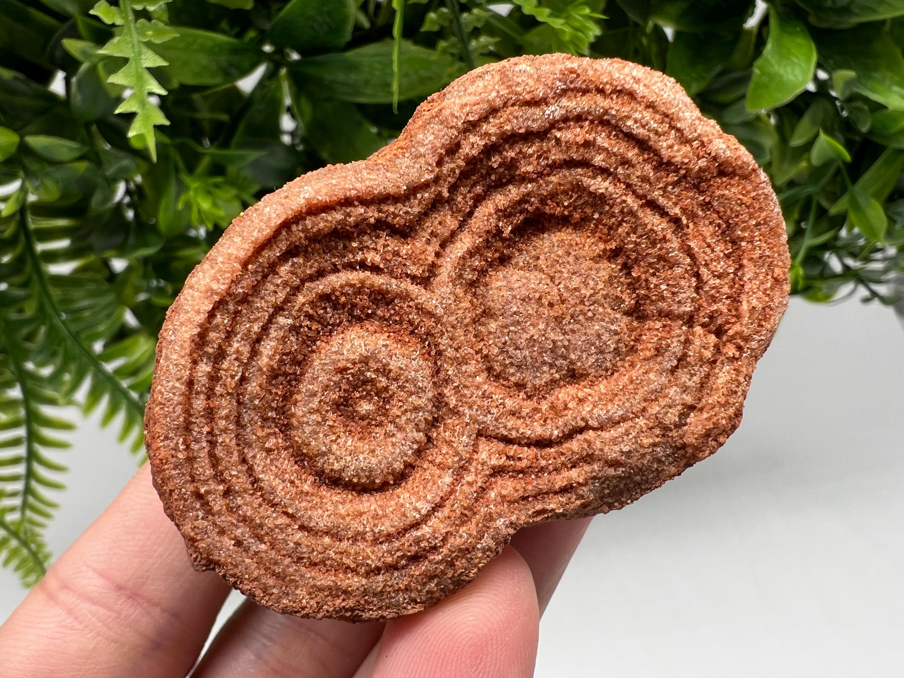 Raw Moroccan Stromatolite Fossil Specimen, Grounding Meditation Stone