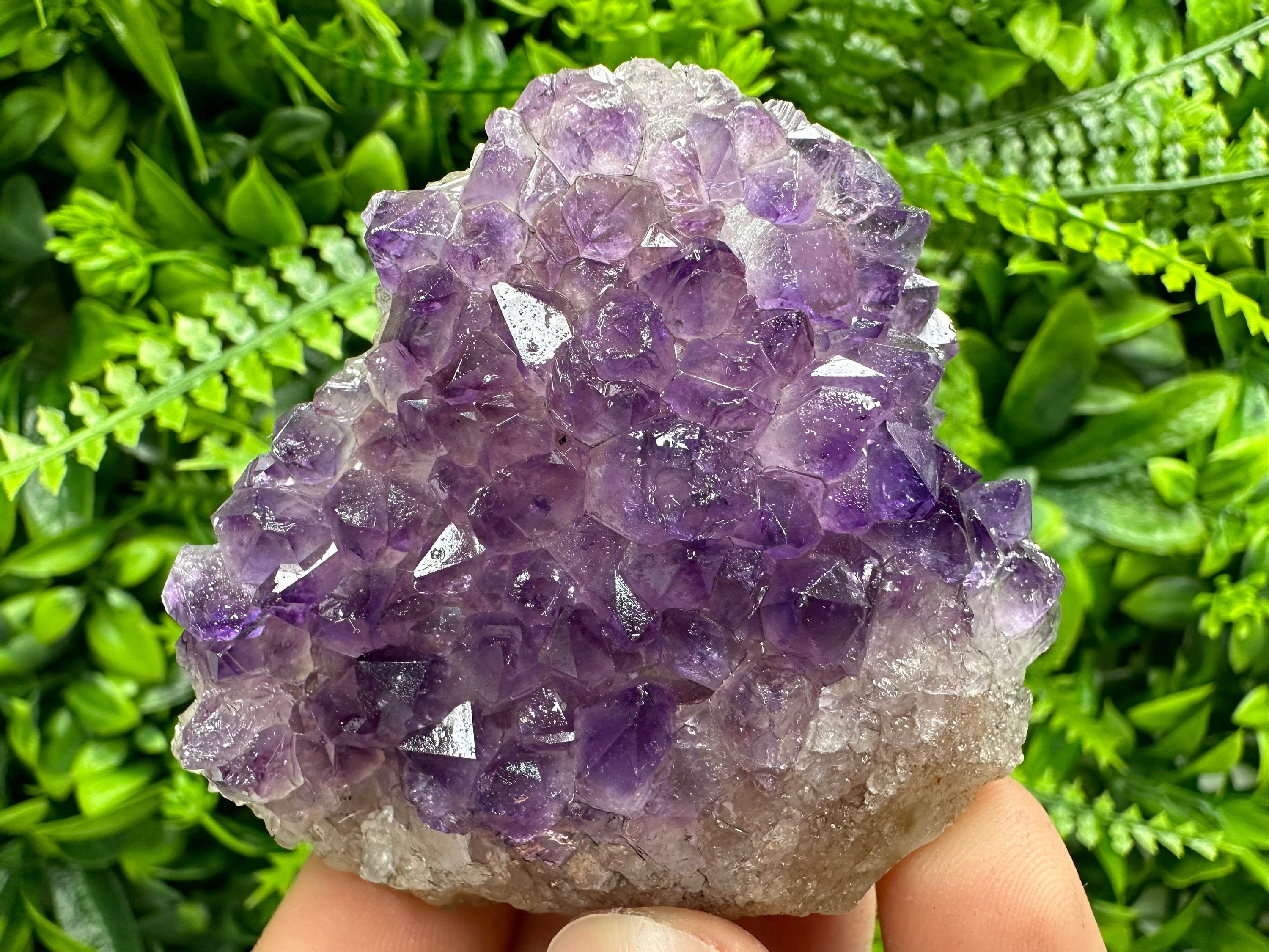 Uruguay Amethyst Cluster: Purple Quartz Crystal, Home Decor (6/7/4cm)