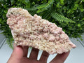 Pink Rhodochrosite Crystal, Starnica Mine, Bulgaria, Mineral Decor