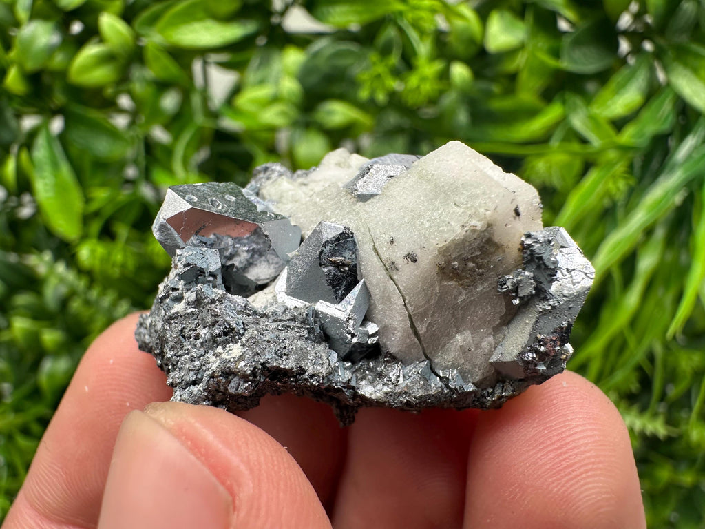 Stunning Shpinel Galena on Sphalerite,Calcite from Borieva mine,Madan,Bulgaria,Natural,collectible mineral specimen,home decor,collectible’s