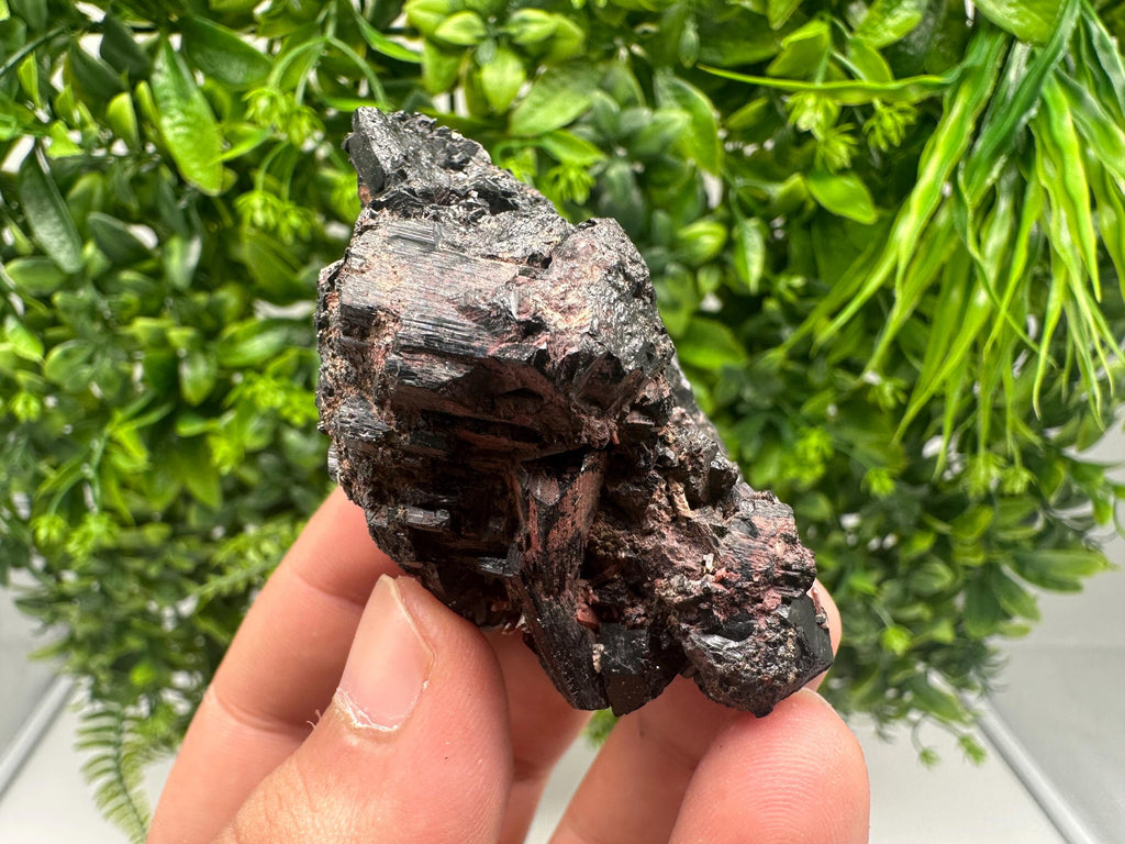 Rare Tourmaline,Rubellite from Vitosha Mountain,Bulgaria,Large Black Tourmaline,Rubellite,mineral specimen,collection,collections Tourmaline