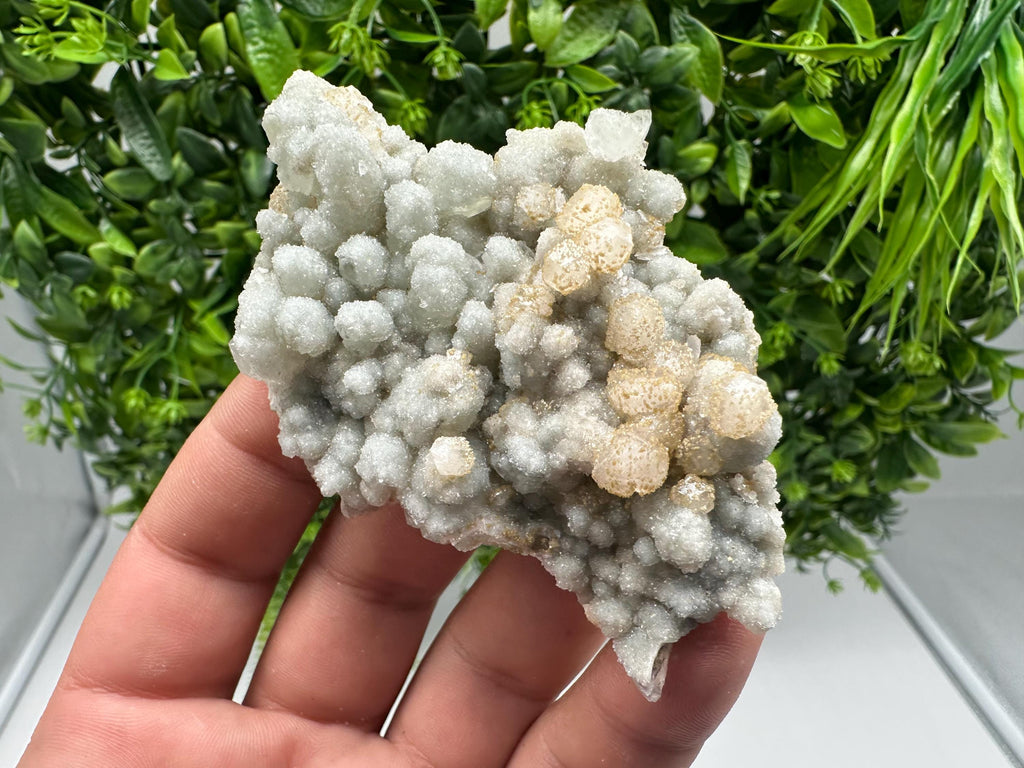 Quartz whit Brown Rhodochrosite from Djurcovo mine,Bulgaria,Quartz,Rhodochrosite cluster,natural mineral,collection crystal,mineral specimen