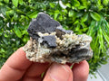 Galena on Quartz with Calcite, Borieva Mine, Bulgaria