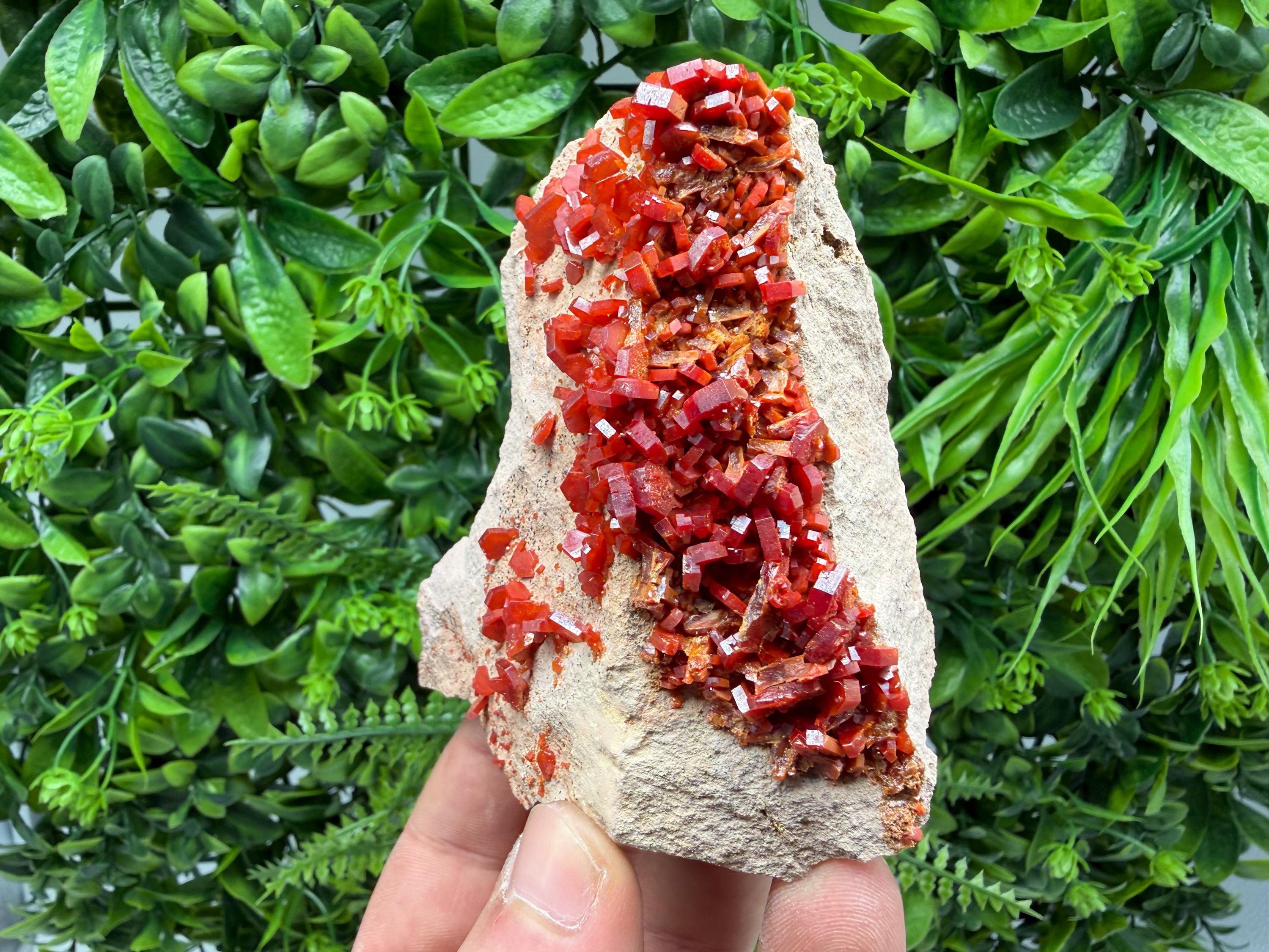 Red Vanadinite on Matrix from Marocco,crystal minerals Speciment cluster Vanadinite crystal Vanadinite Geology Vanadinite cluster minerals