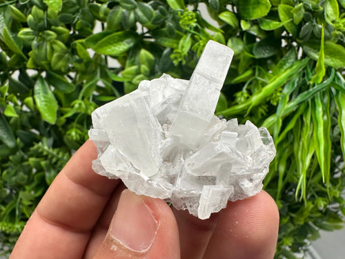 Barite Marcasite Chalcedony Cluster, Androvo Mine Bulgaria